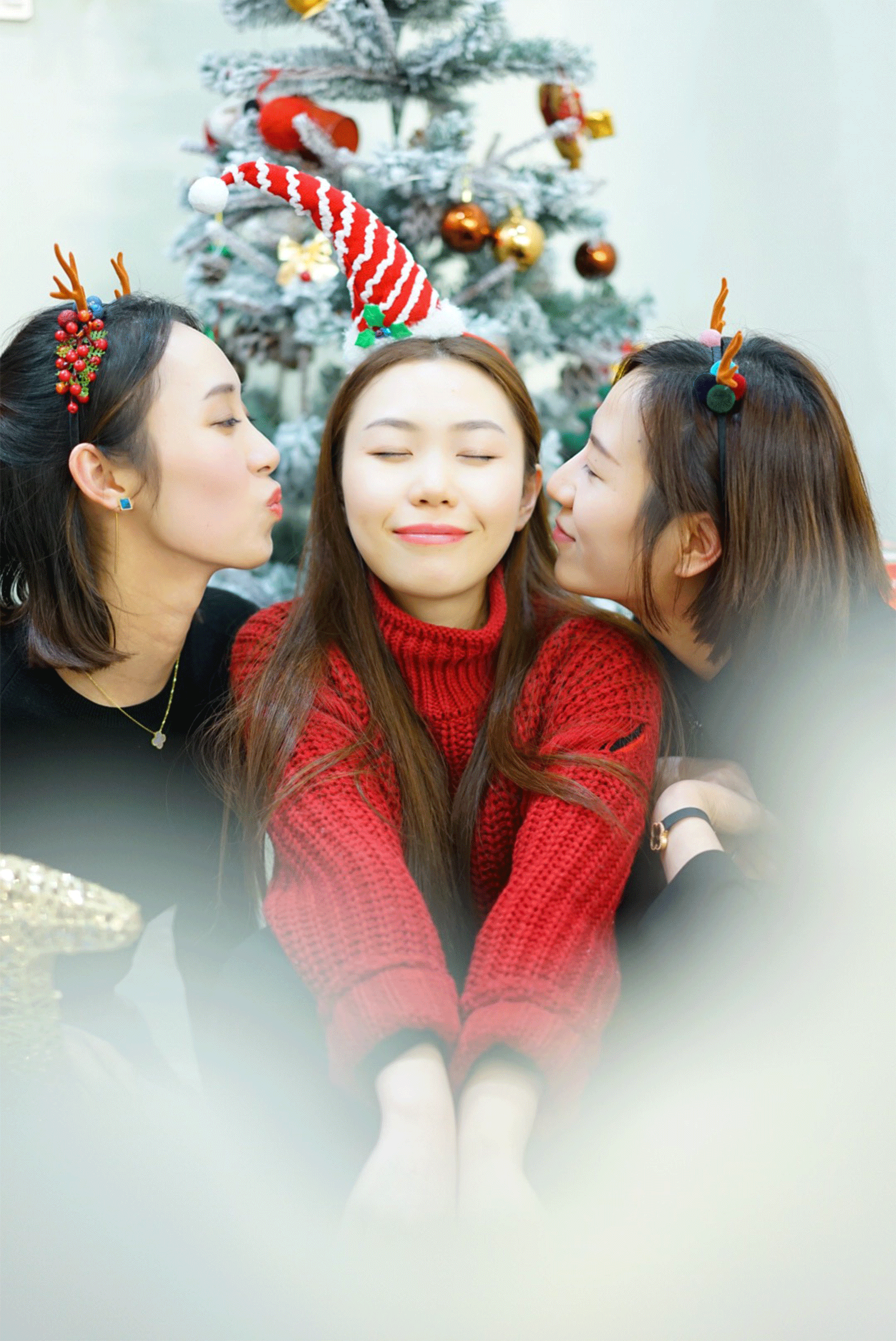 17.gif