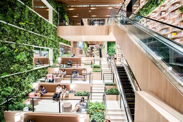 ������ҵδ�����ڣ������óϹ㳡��ҵ����������ɭ�������