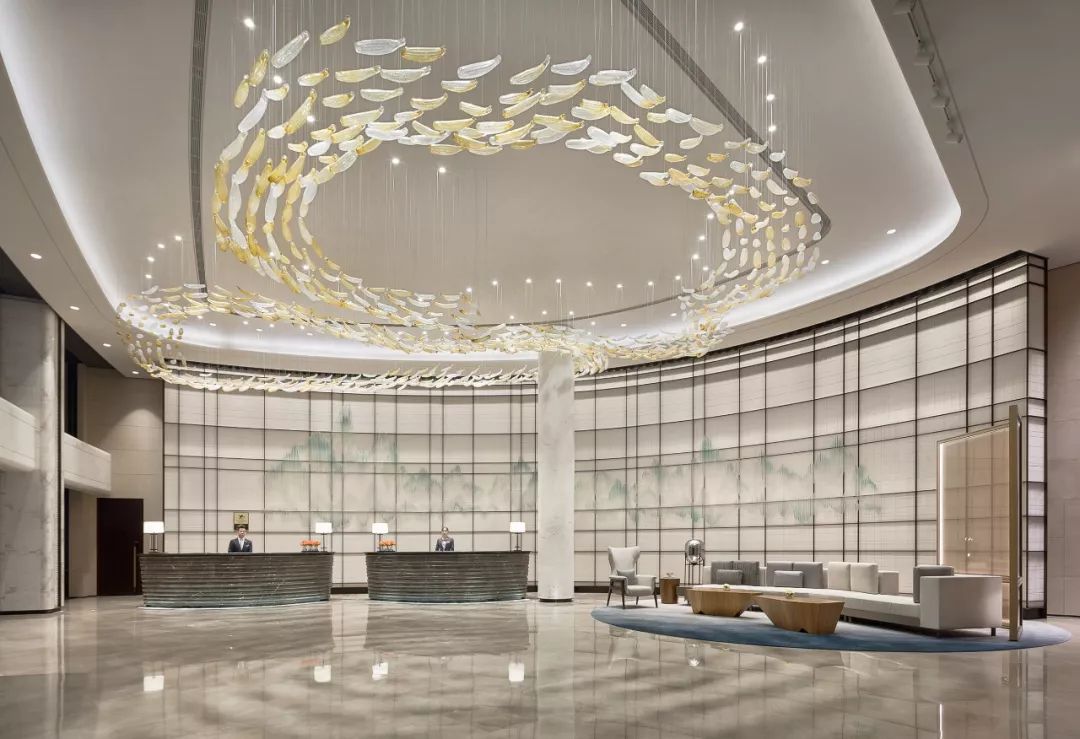 �����Ƶ����