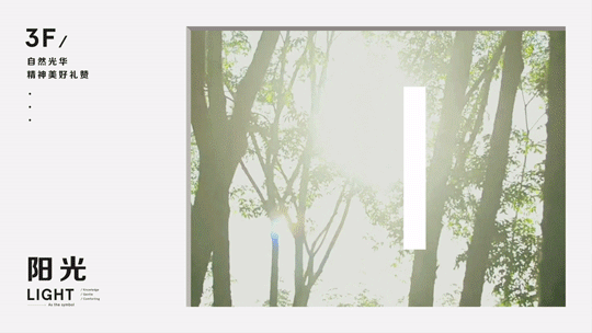 11.gif