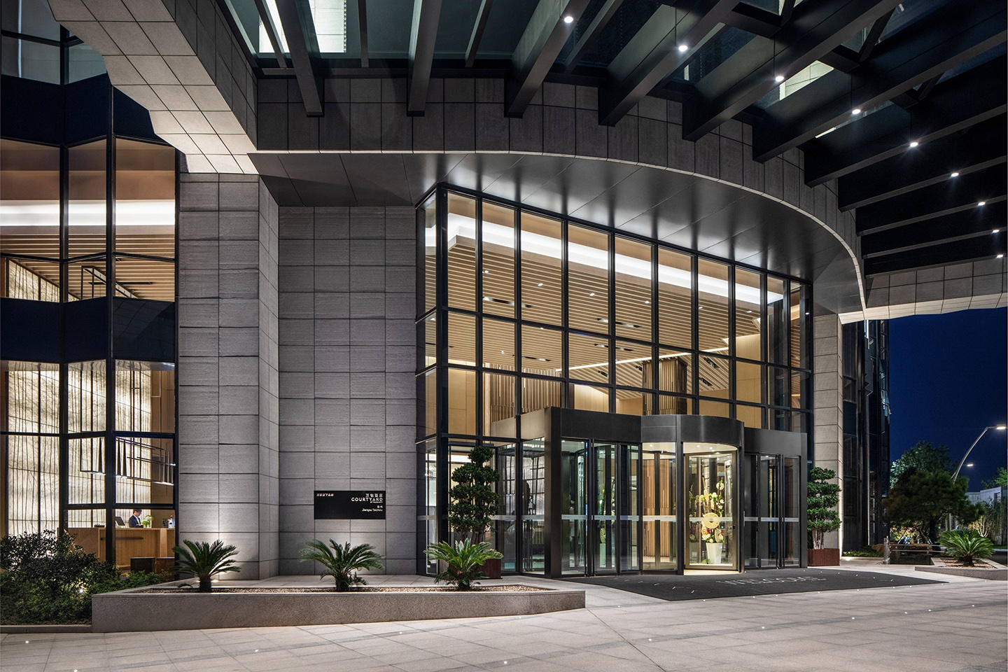 �����Ƶ����