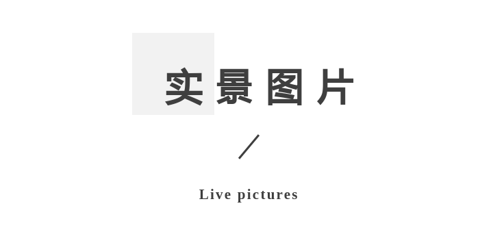 ʵͼƬ.png