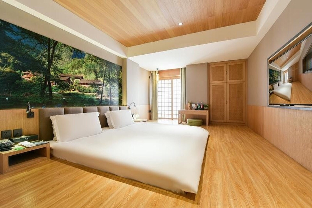 ����Ƶ����