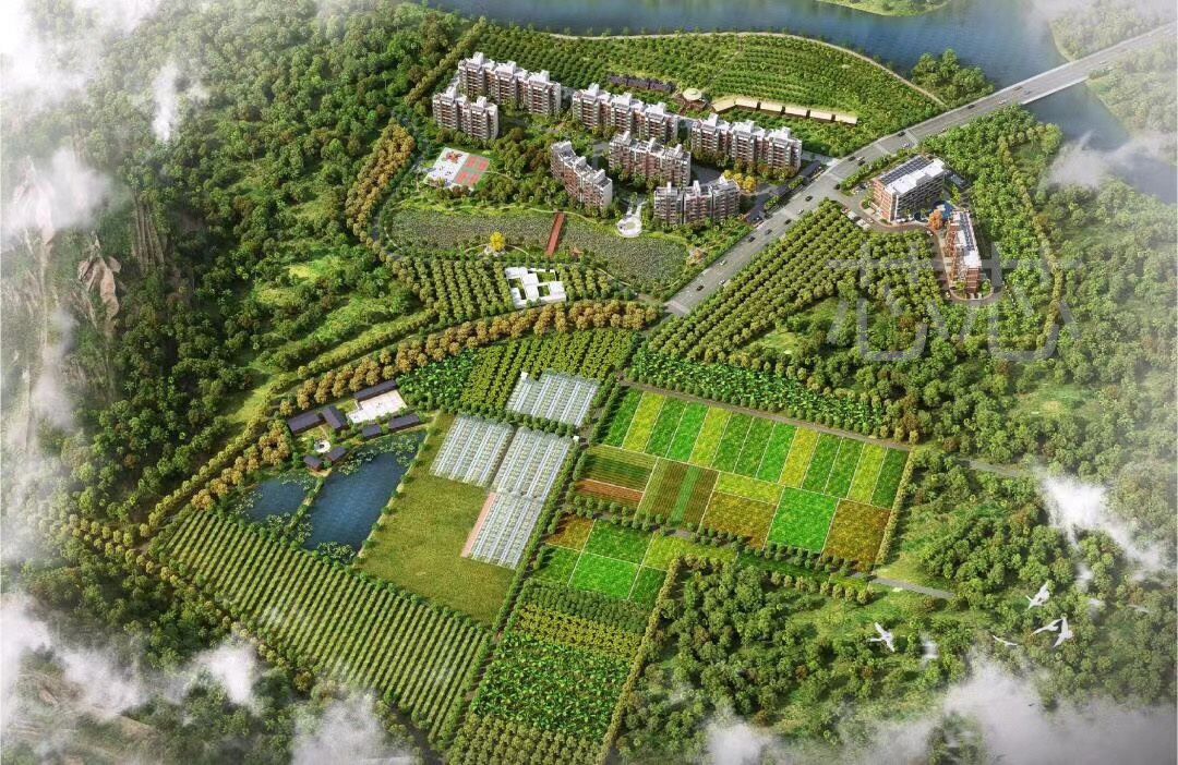 оо15656066007 (3).jpg