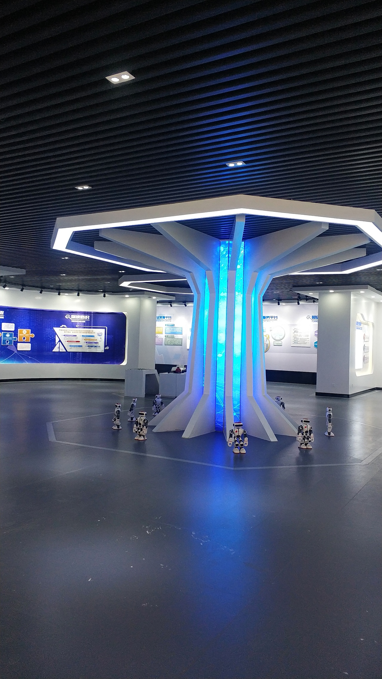 Ҷ��18919637638 (3).jpg