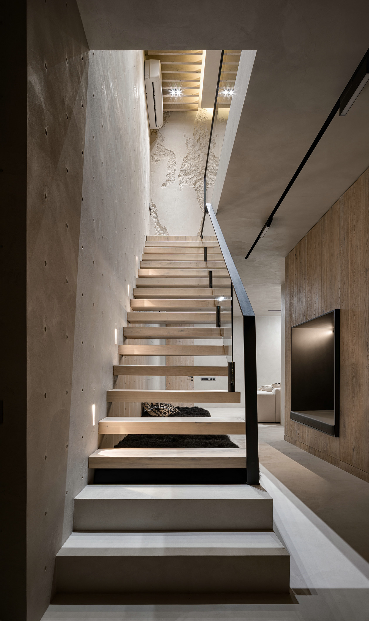 tz (20).jpg
