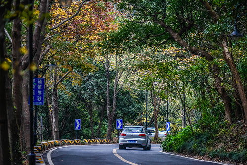 2 ¤· Manjuelong Road Internet.jpg