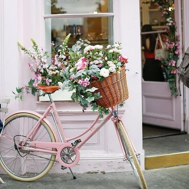 ƶ 15385150100 (2).jpg