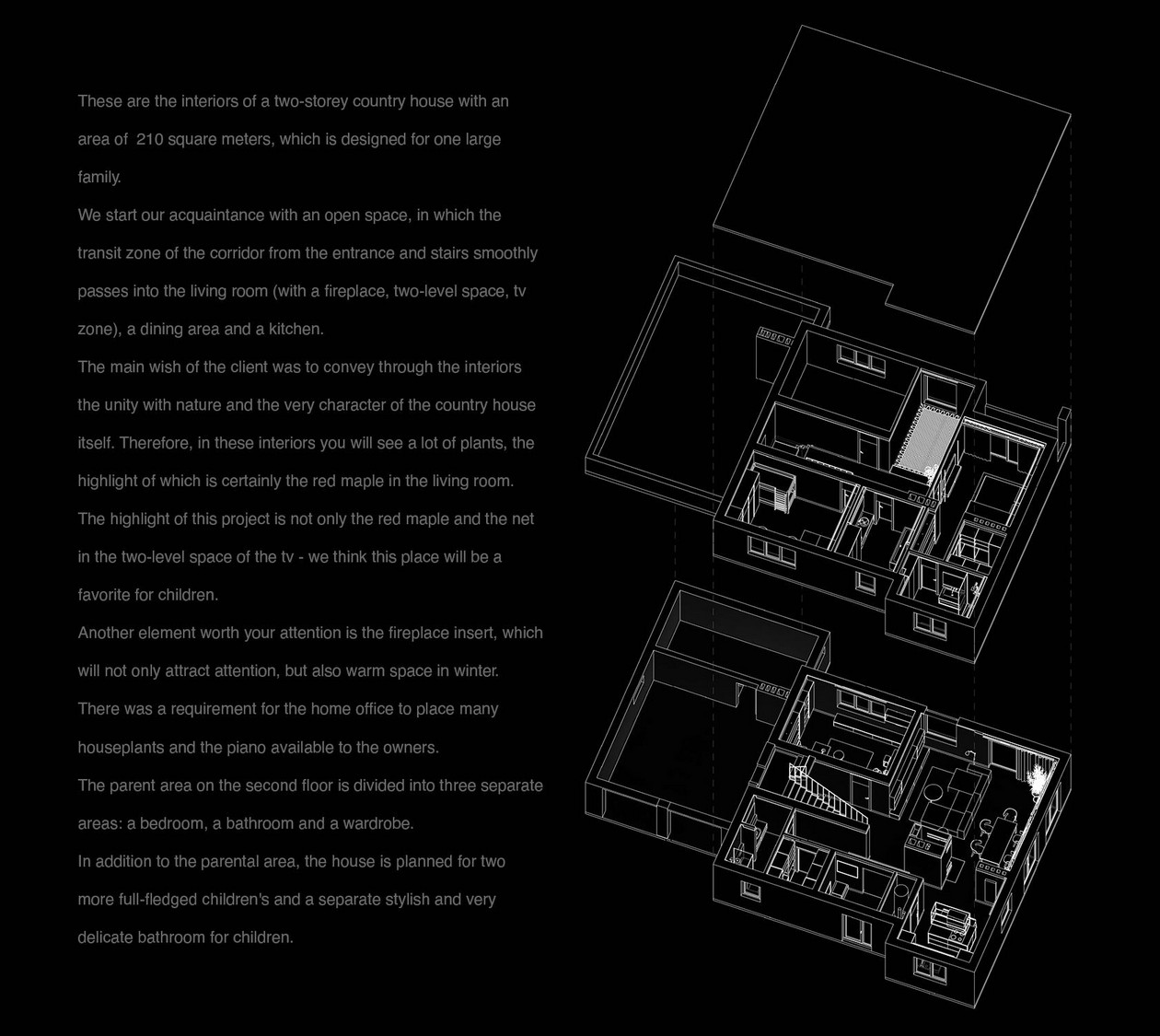 tz (1).jpg