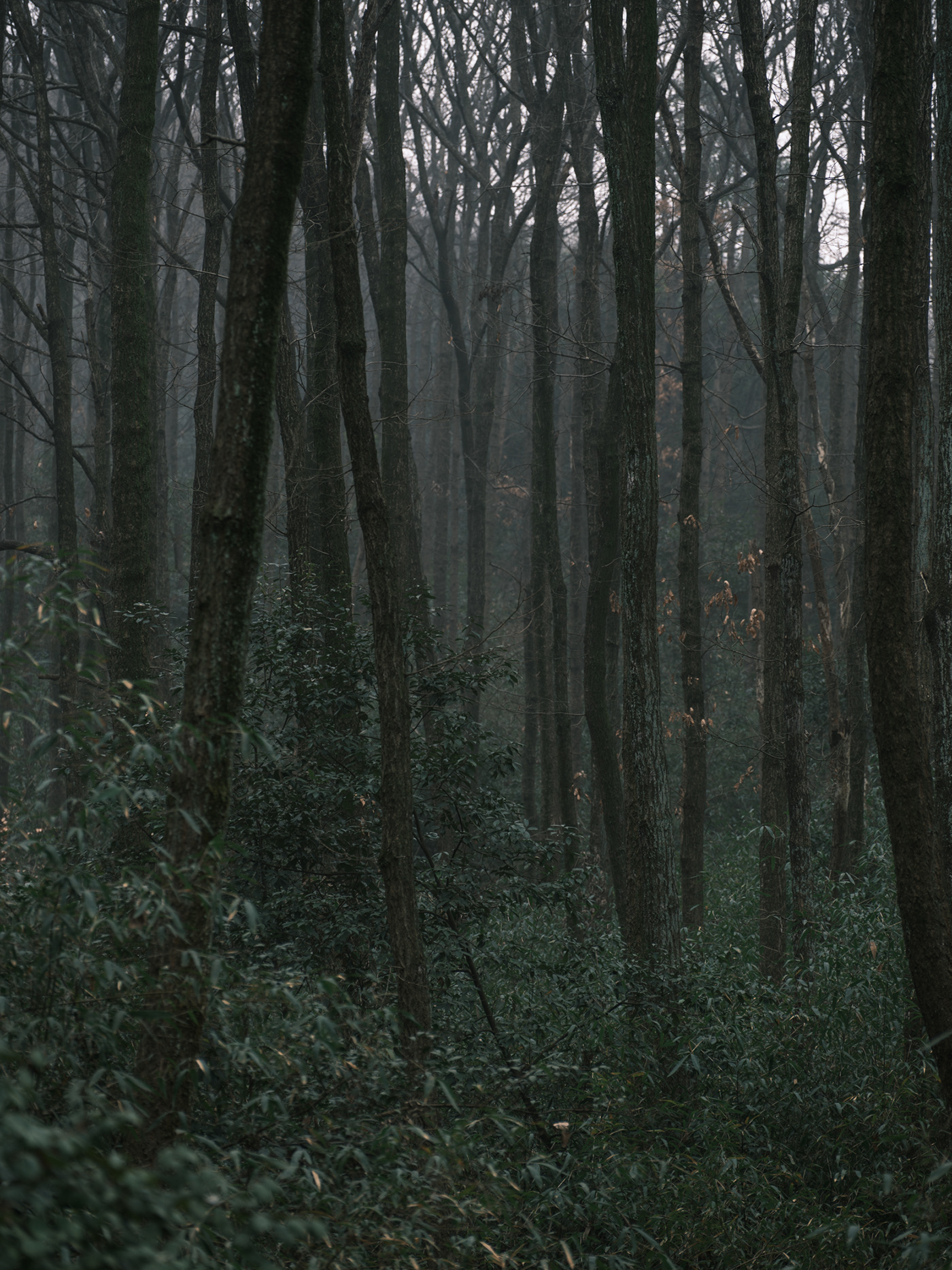 11B (1).jpg