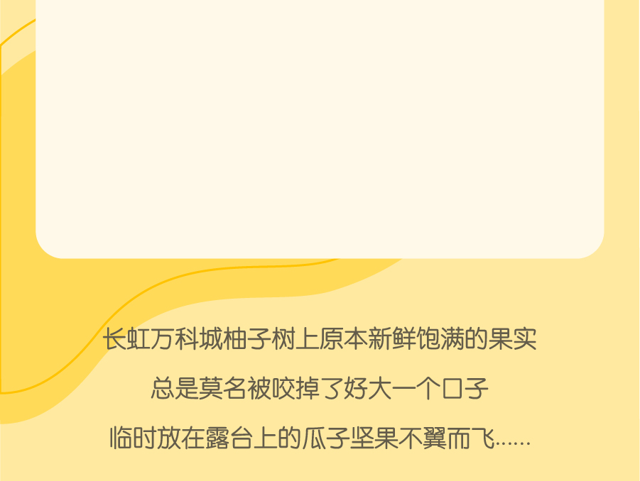 -02.jpg