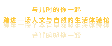 04.png