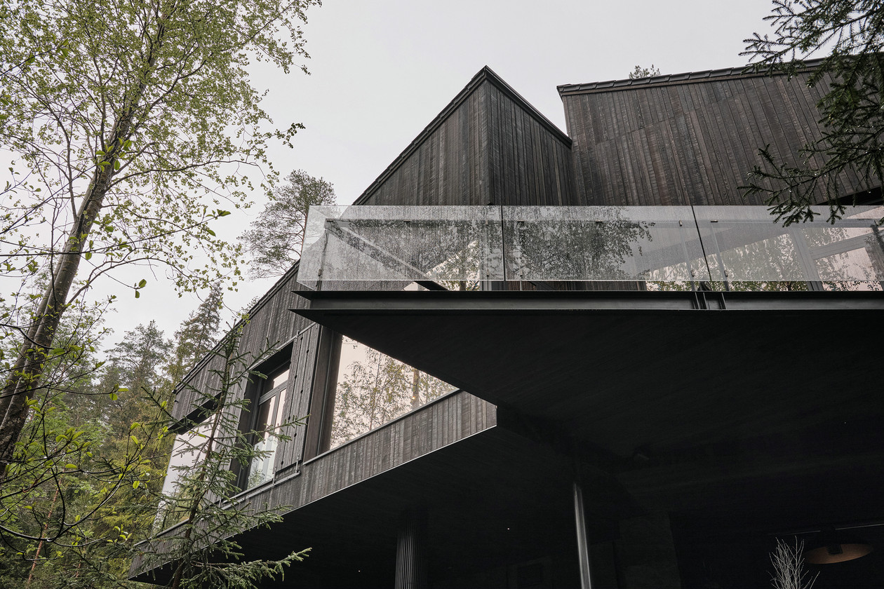 tz (11).jpg