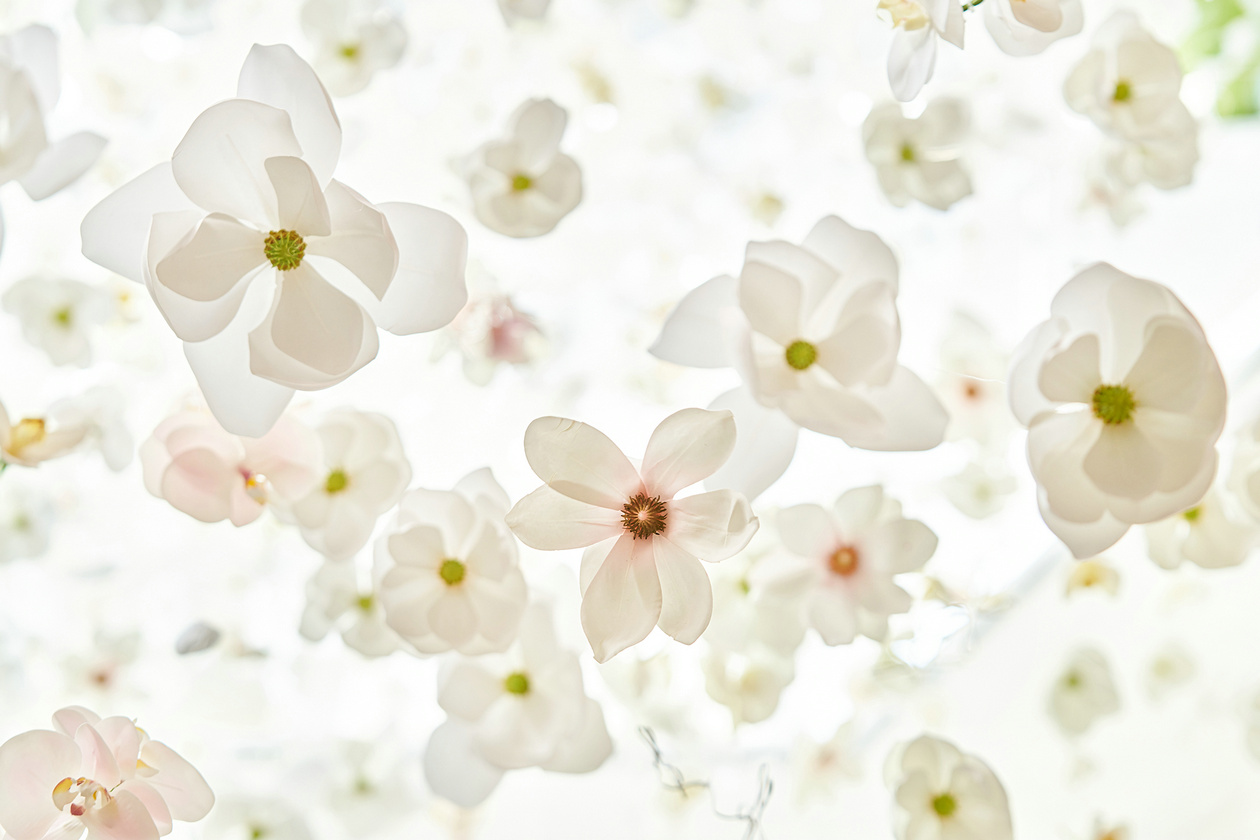 12 װ Floral installations _ ￥.jpg