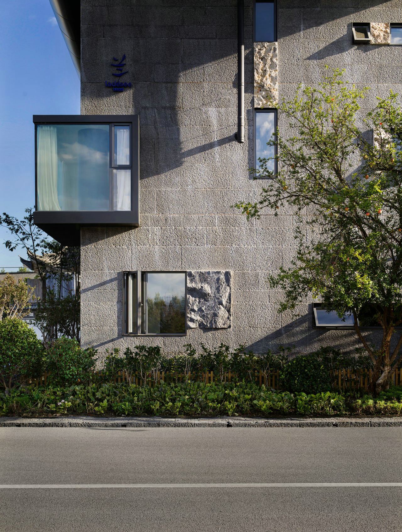 tz (12).jpg