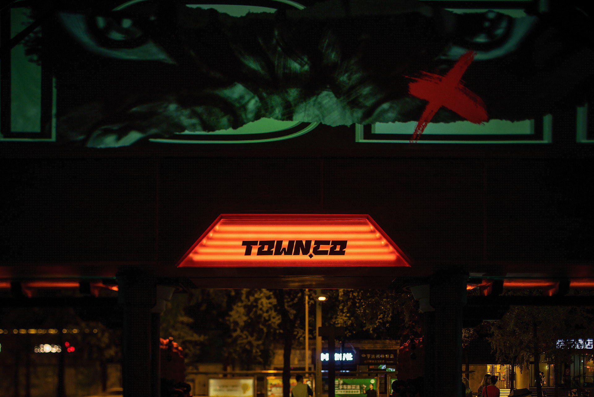 tz (11).jpg