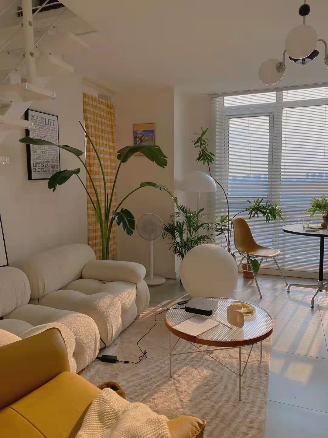 С18655959992 (7).jpg