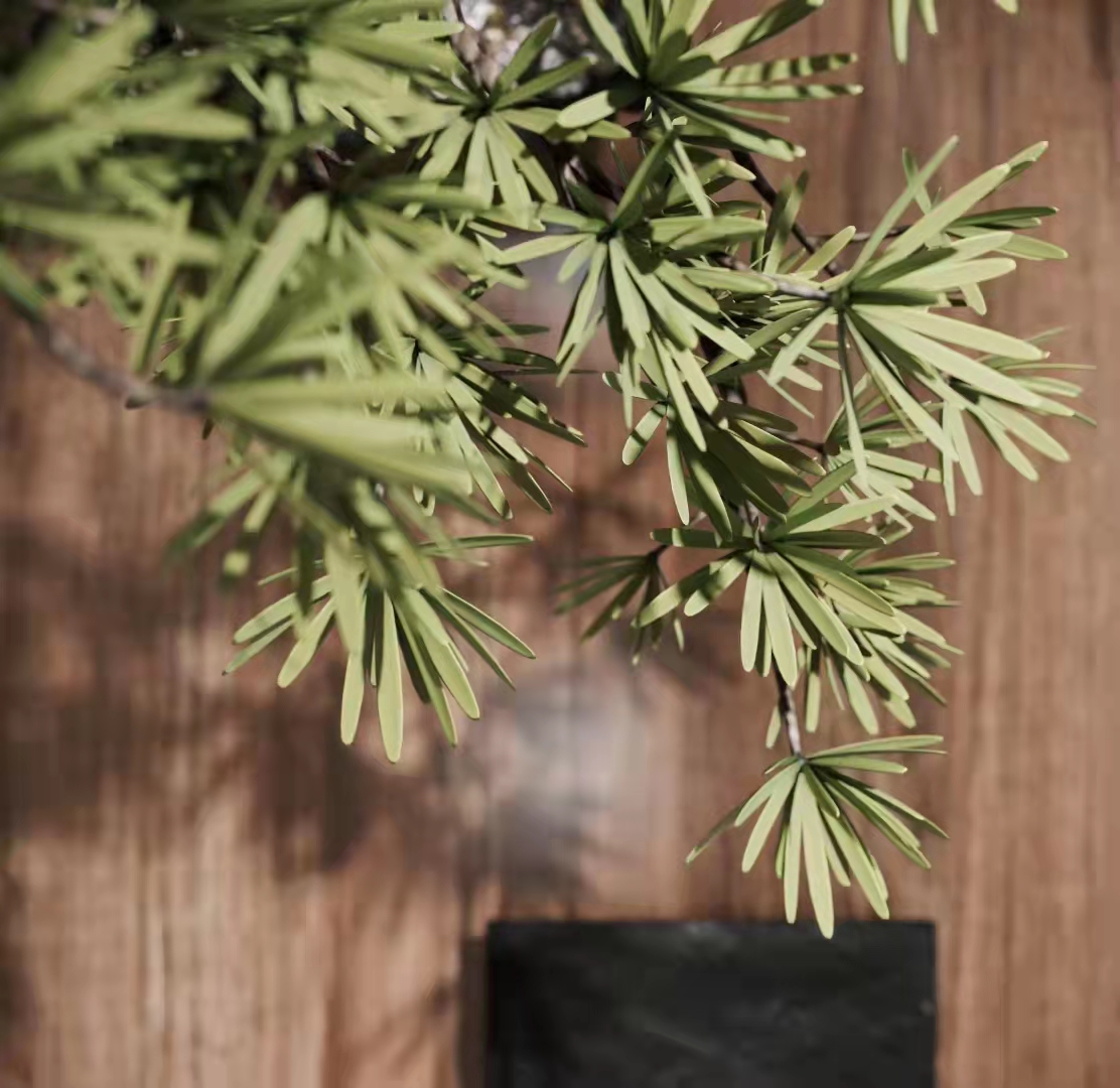 С13399519508 (7).jpg