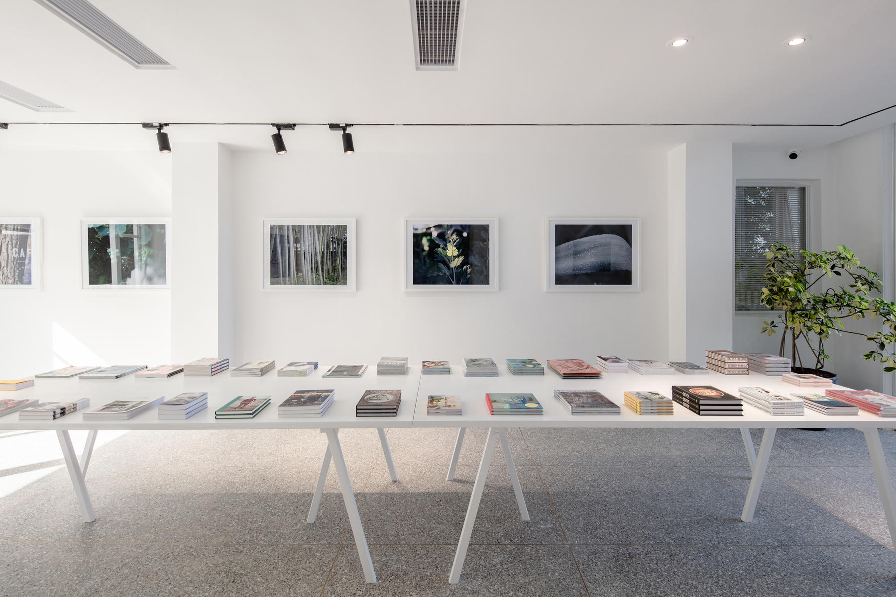 Ǯ18919637208 (9).jpg