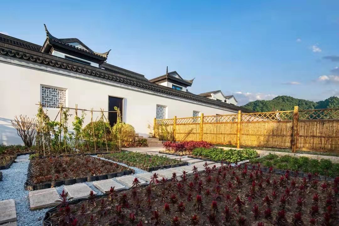 ޱޱ18226217823 (1).jpg