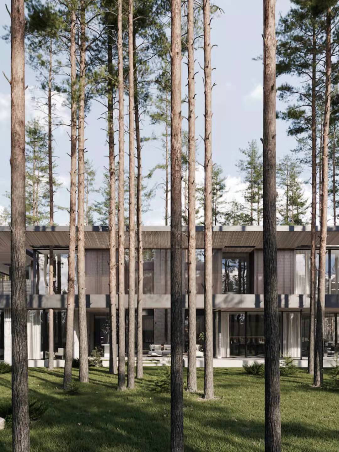 С18655959992 (1).jpg