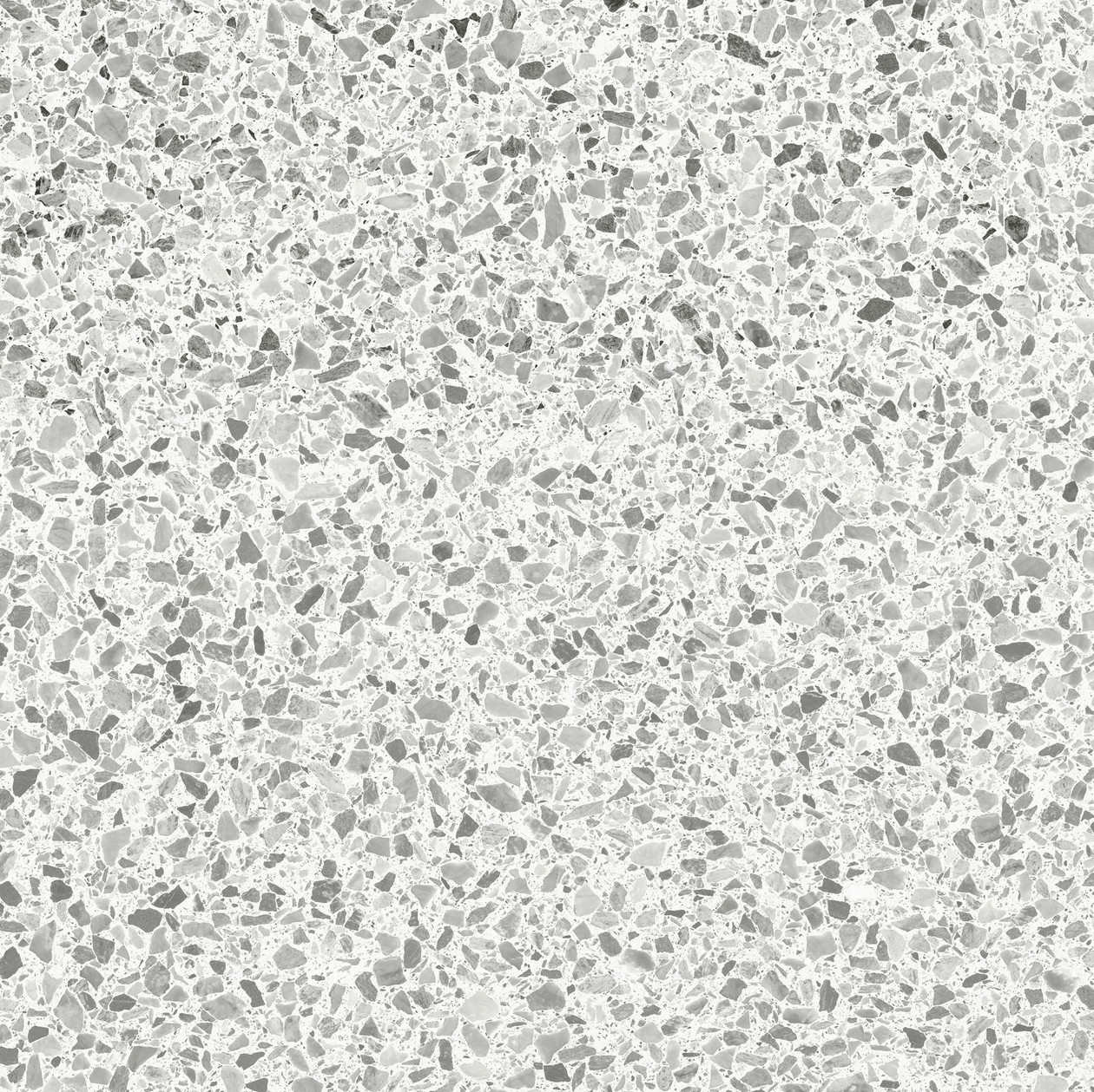 tz (64).jpeg