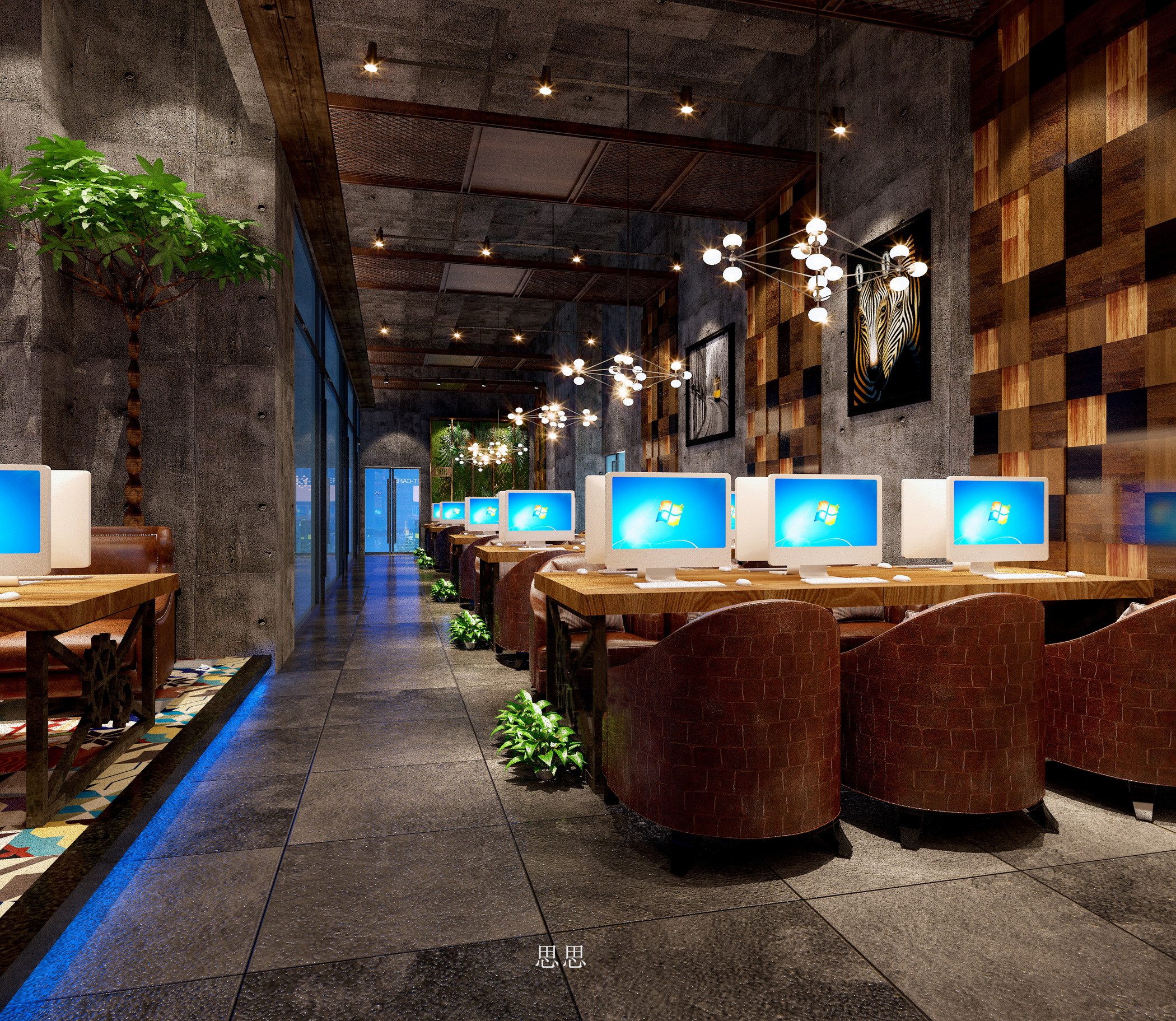 13�������ݻ�è���翧�����ռ����  (2).jpg