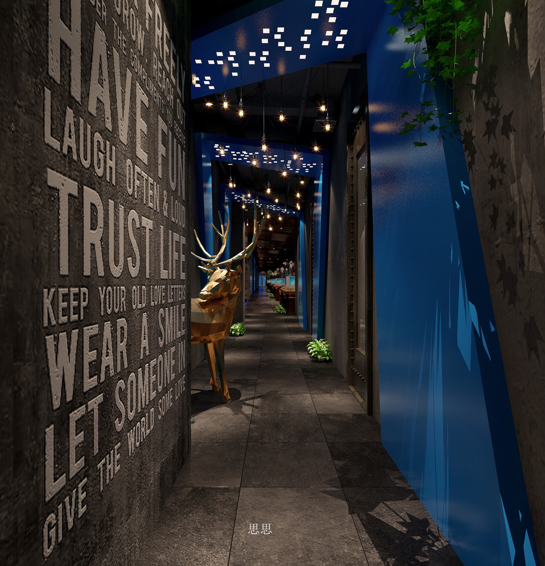 13�������ݻ�è���翧�����ռ����  (5).jpg