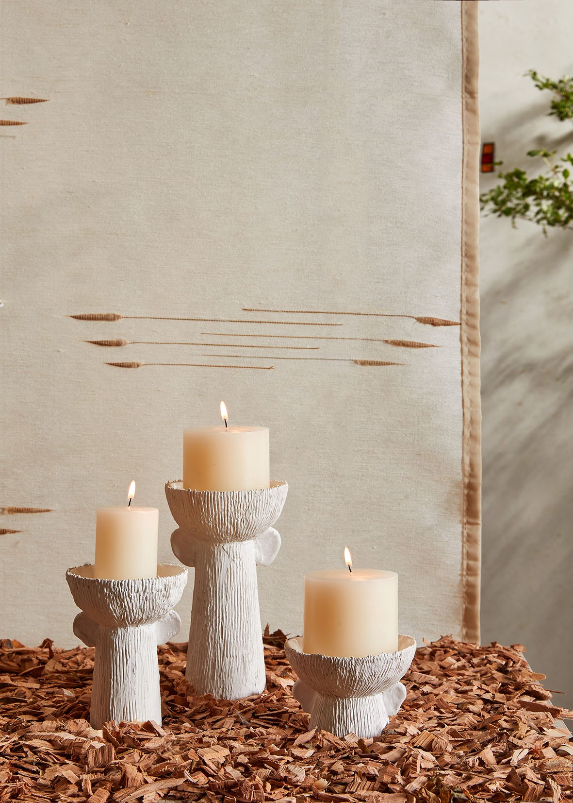 3V4A9459 ����.jpg