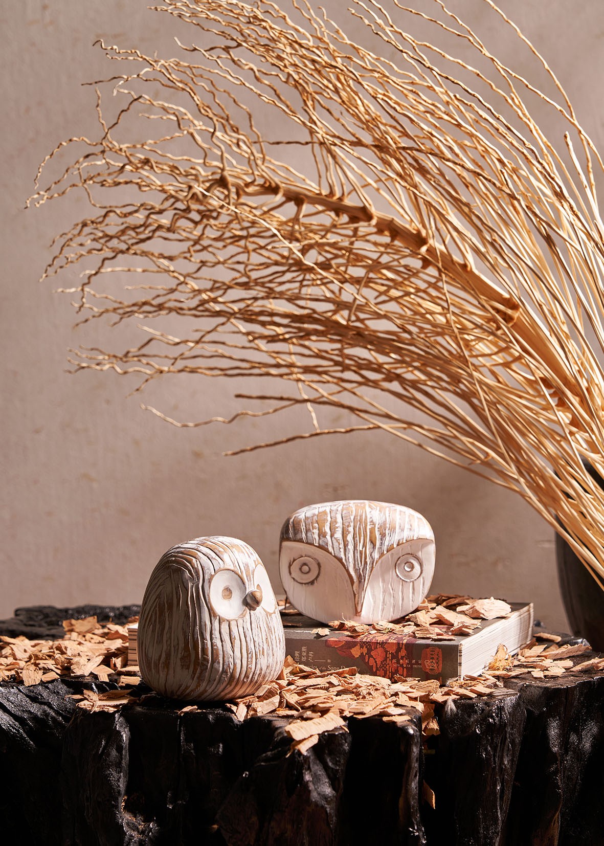 DSC00601 ����.jpg