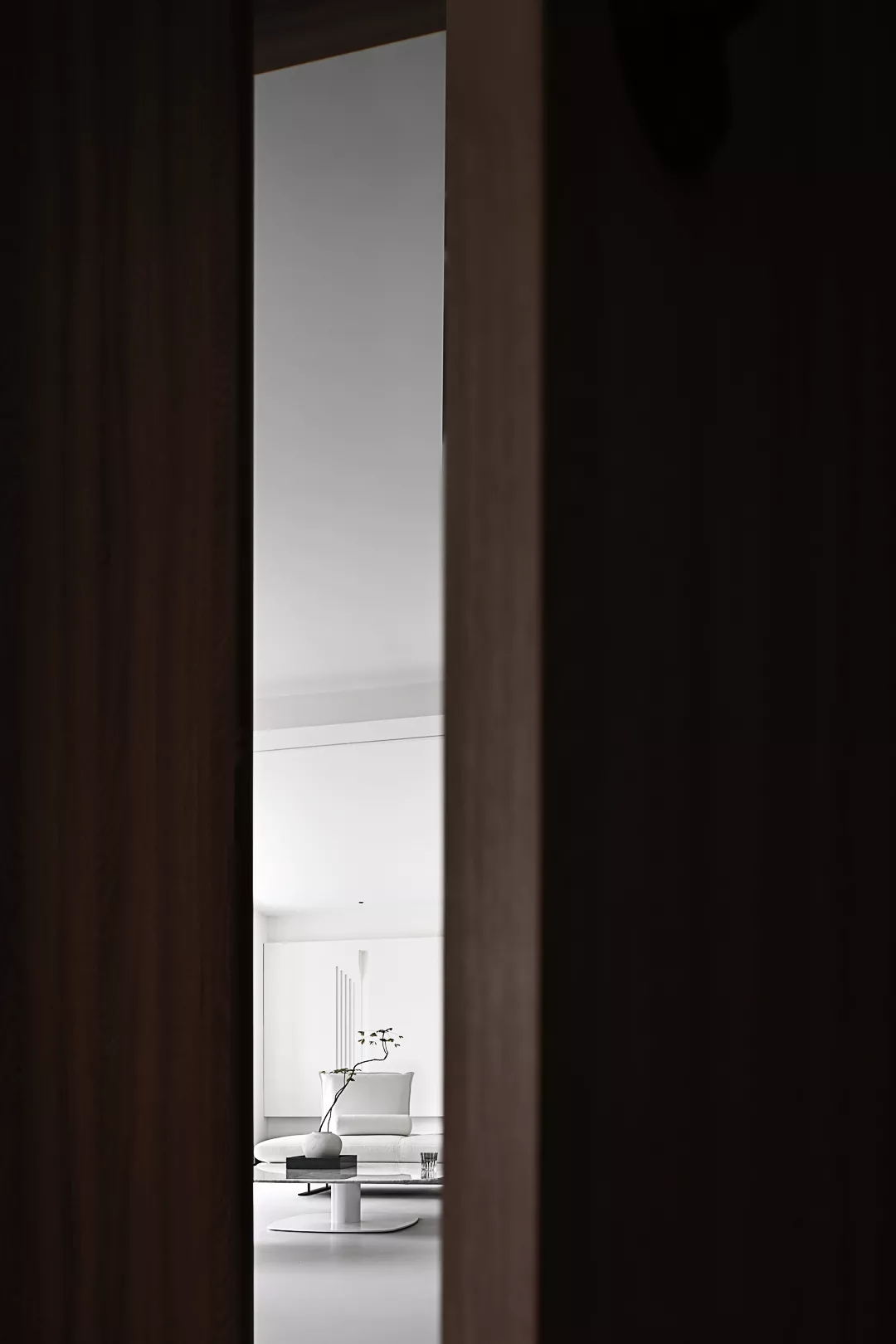 tz (11).jpg