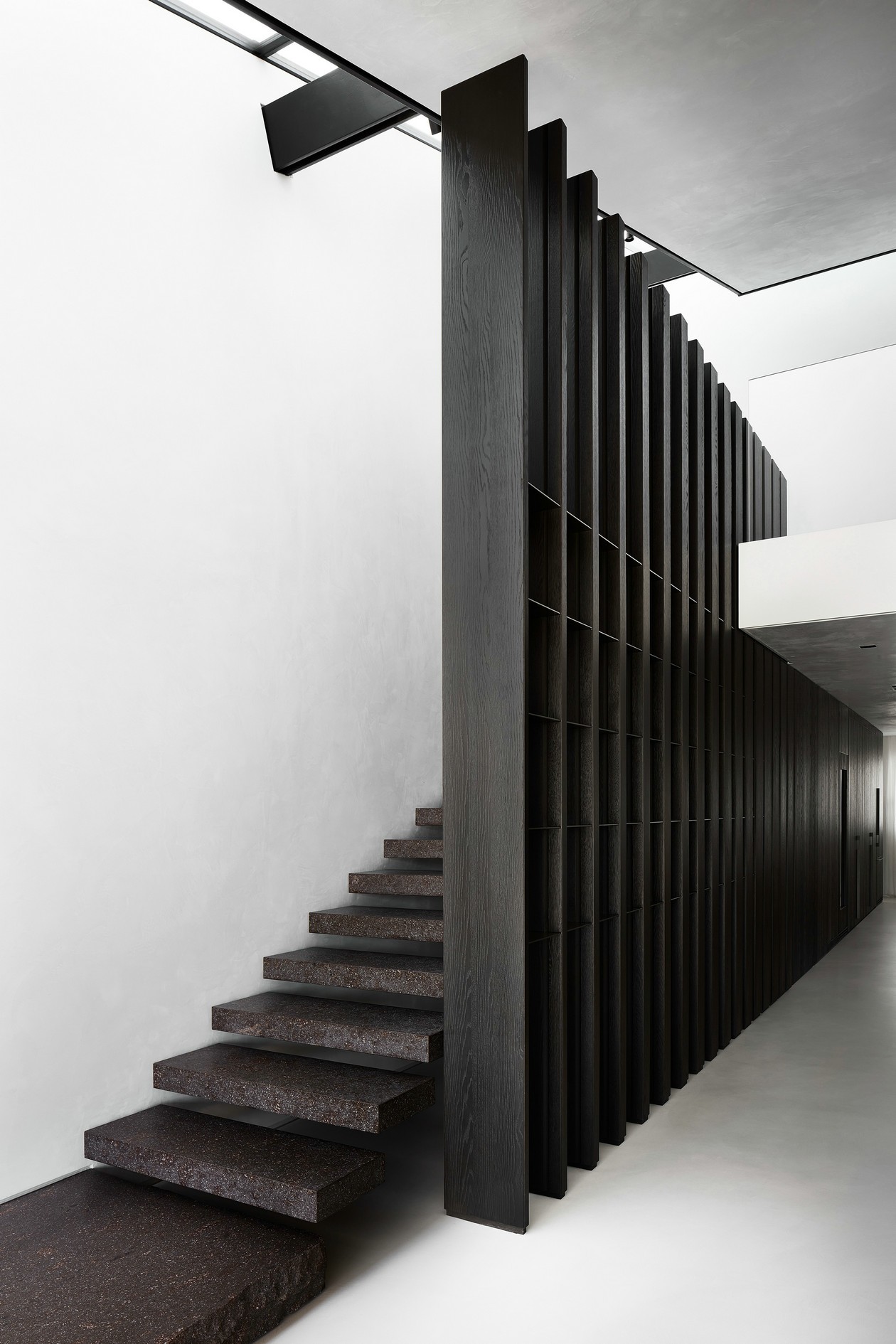 tz (15).jpg