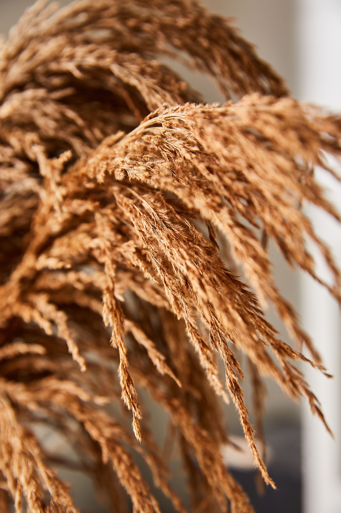 3V4A0287 ����.jpg