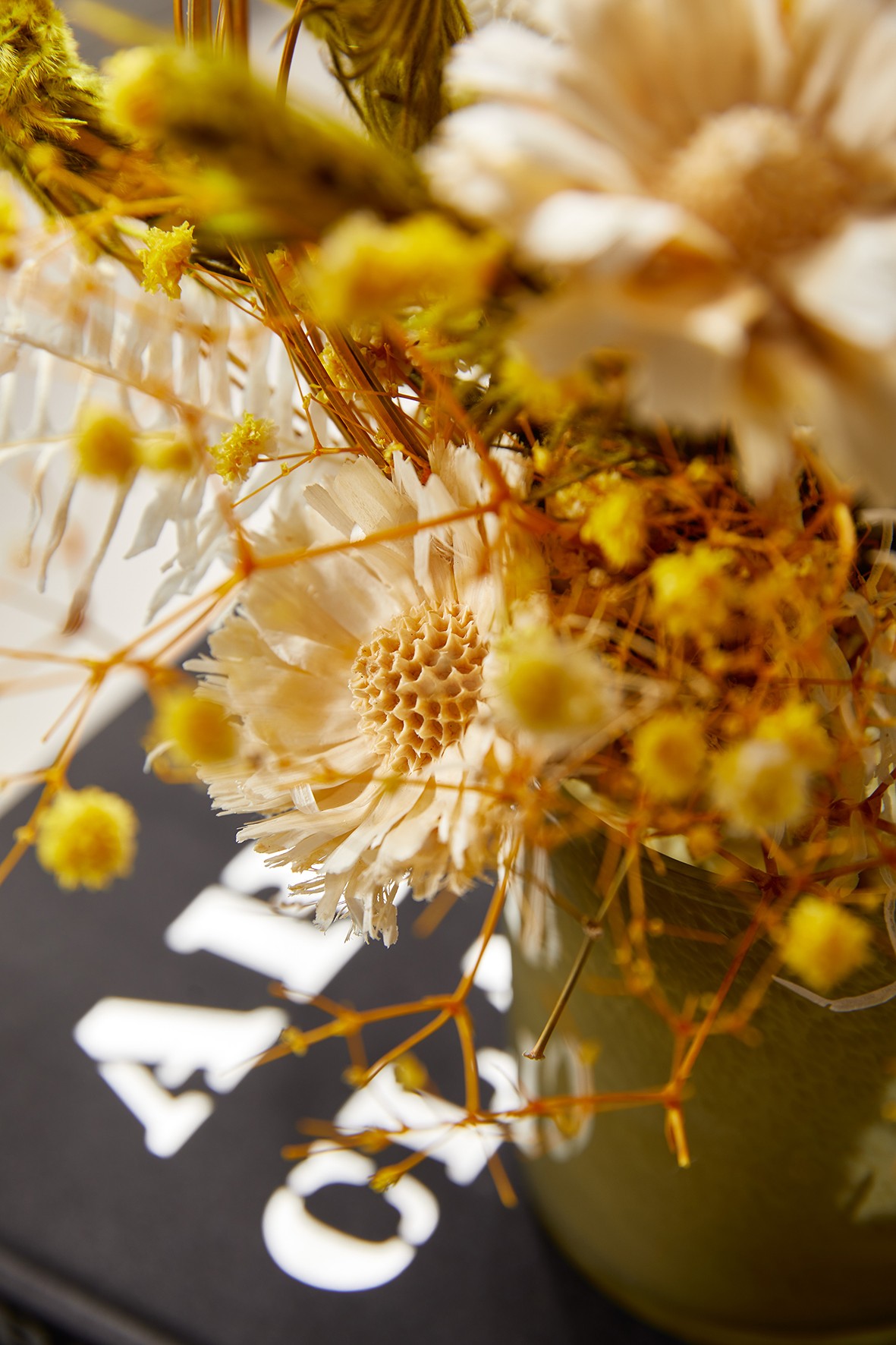 3V4A9153 ����.jpg