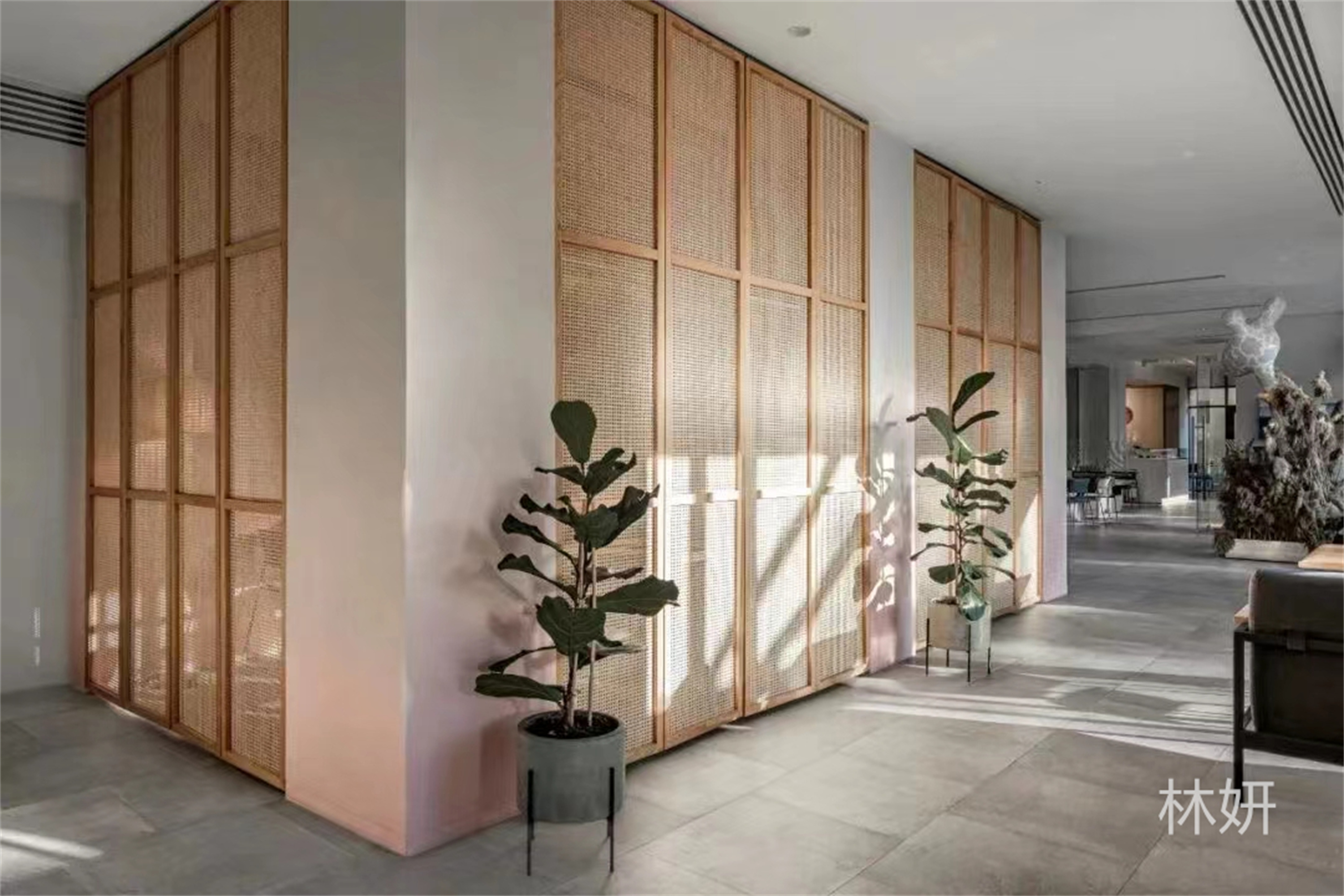 ���� 15656038661 (4).jpg