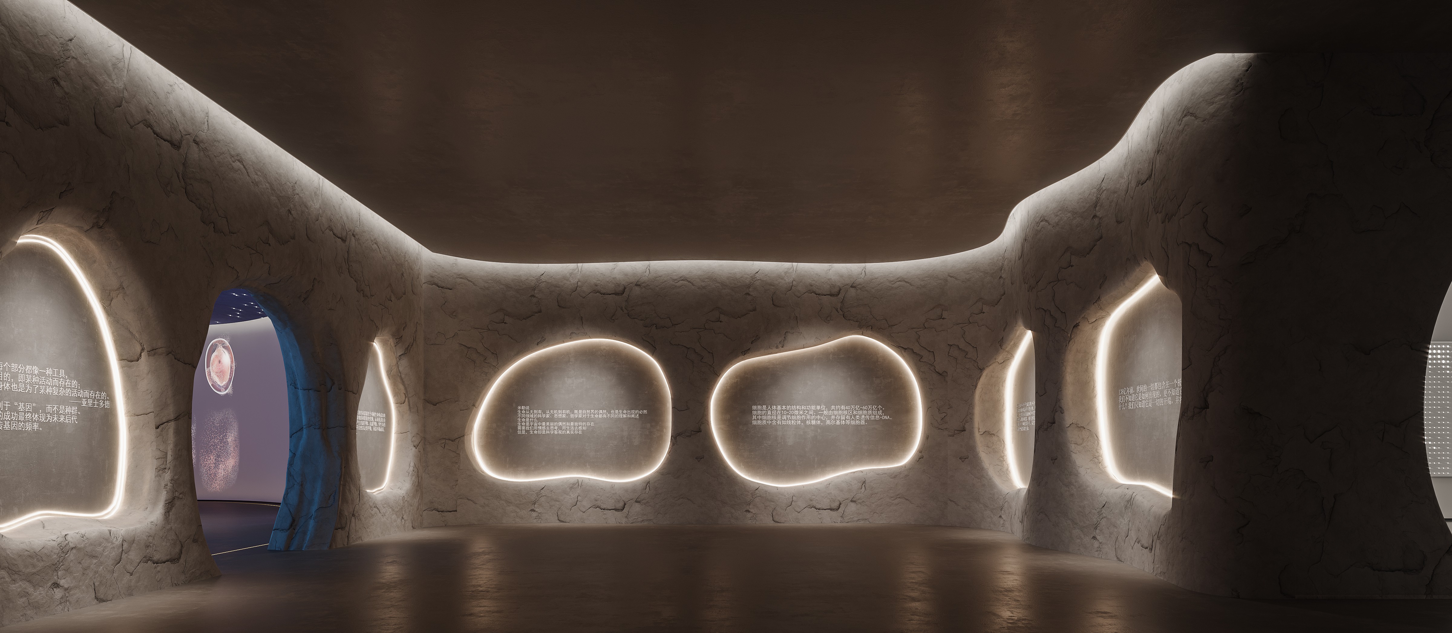 ���17355125175 (5).jpg