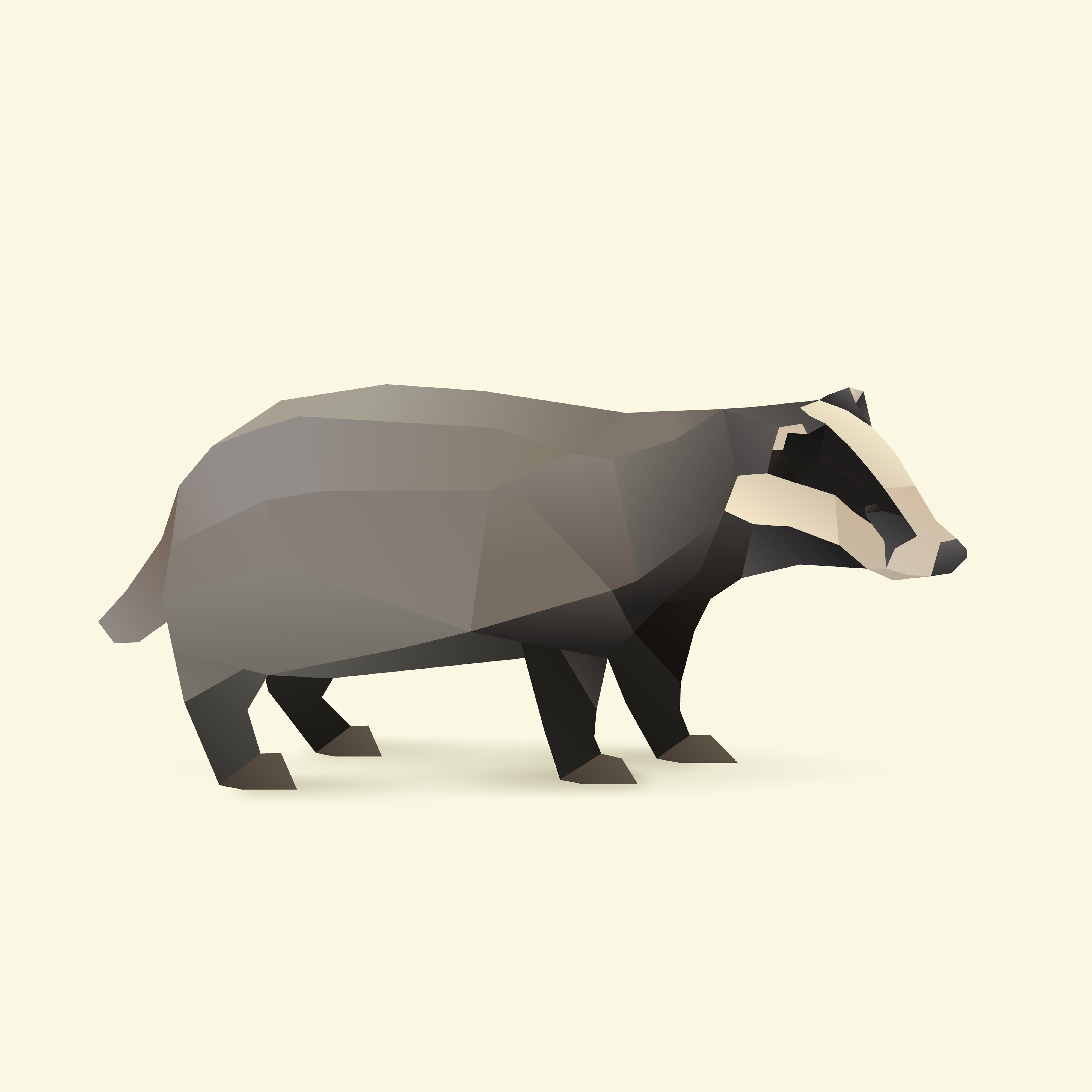 badger.jpg