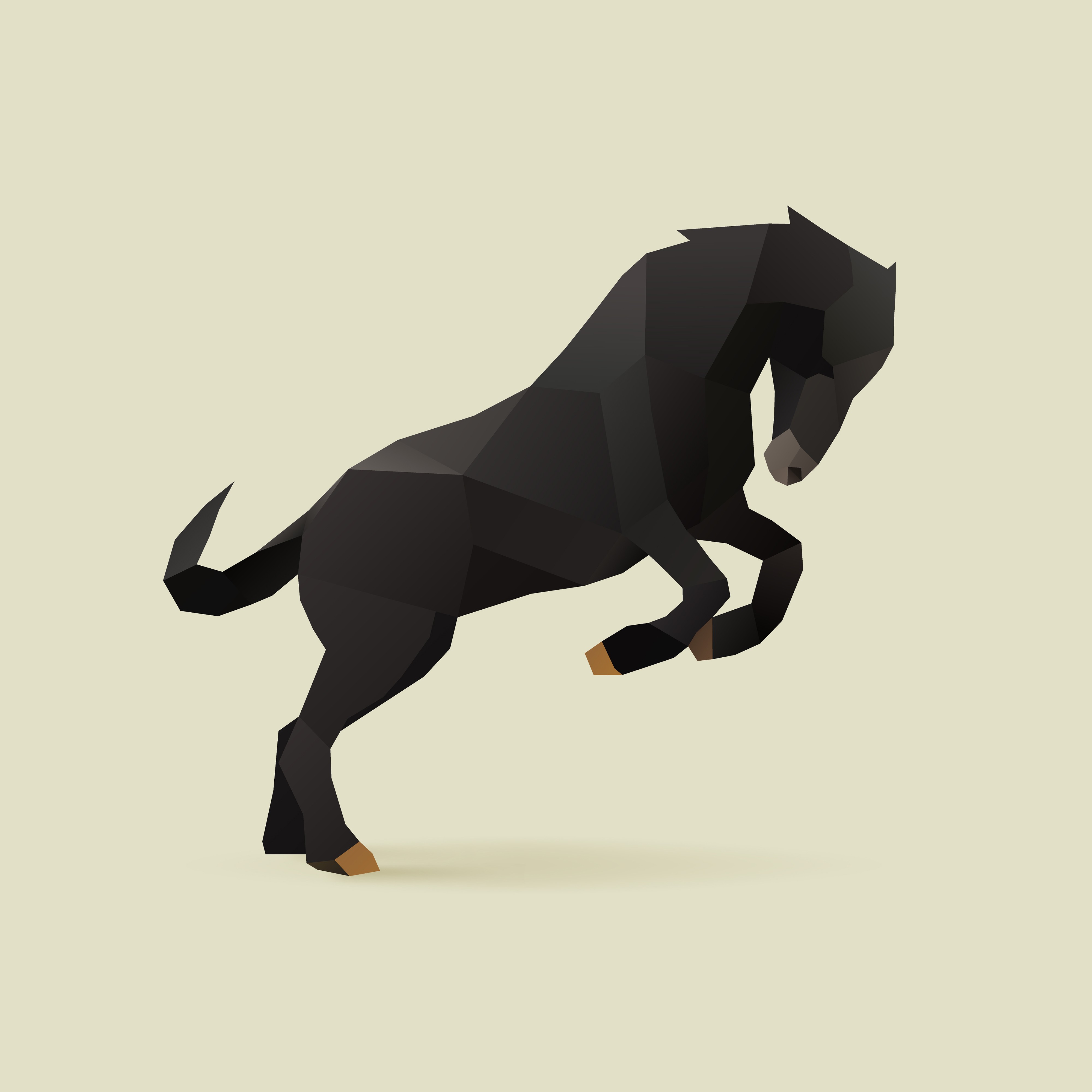 black horse.jpg