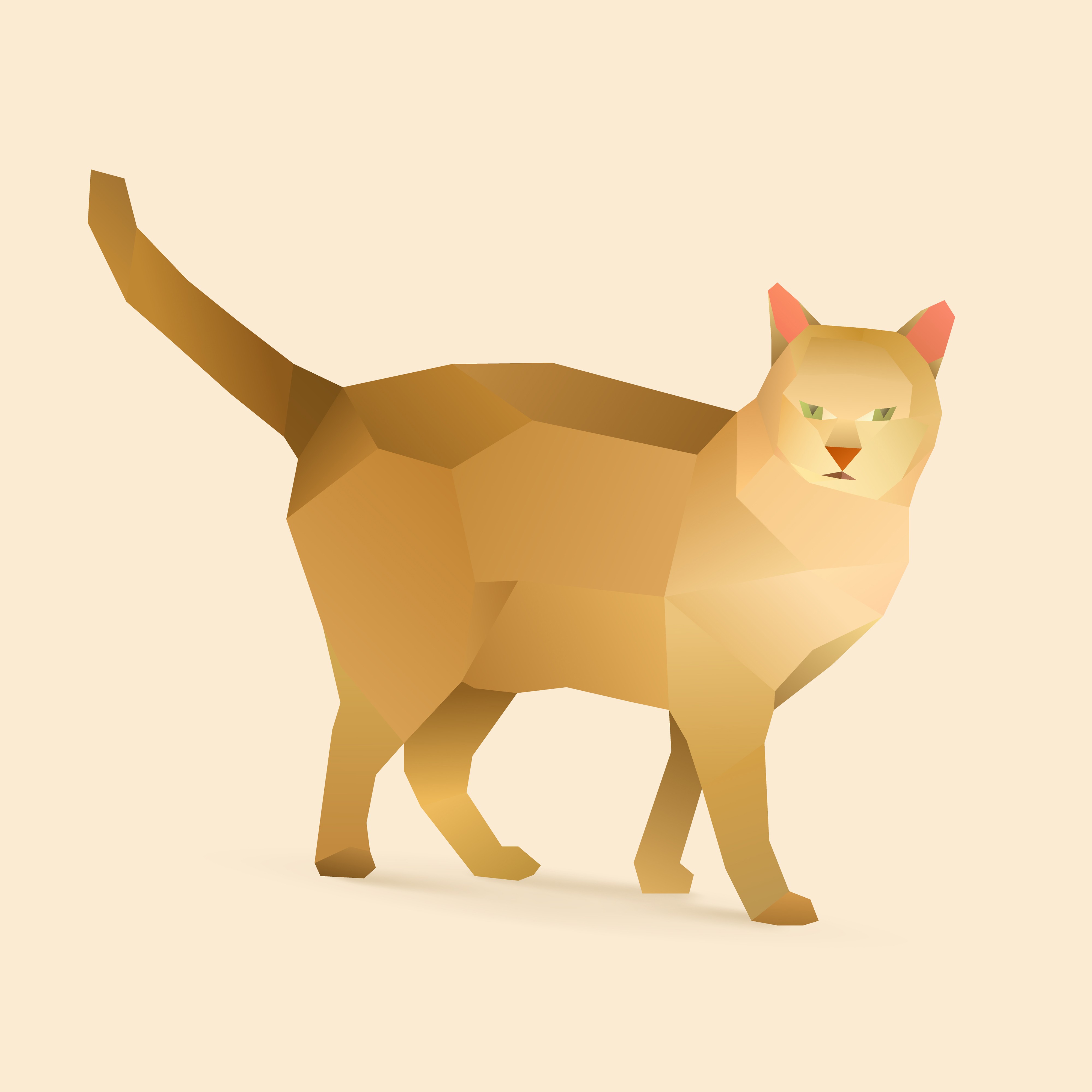 cat.jpg