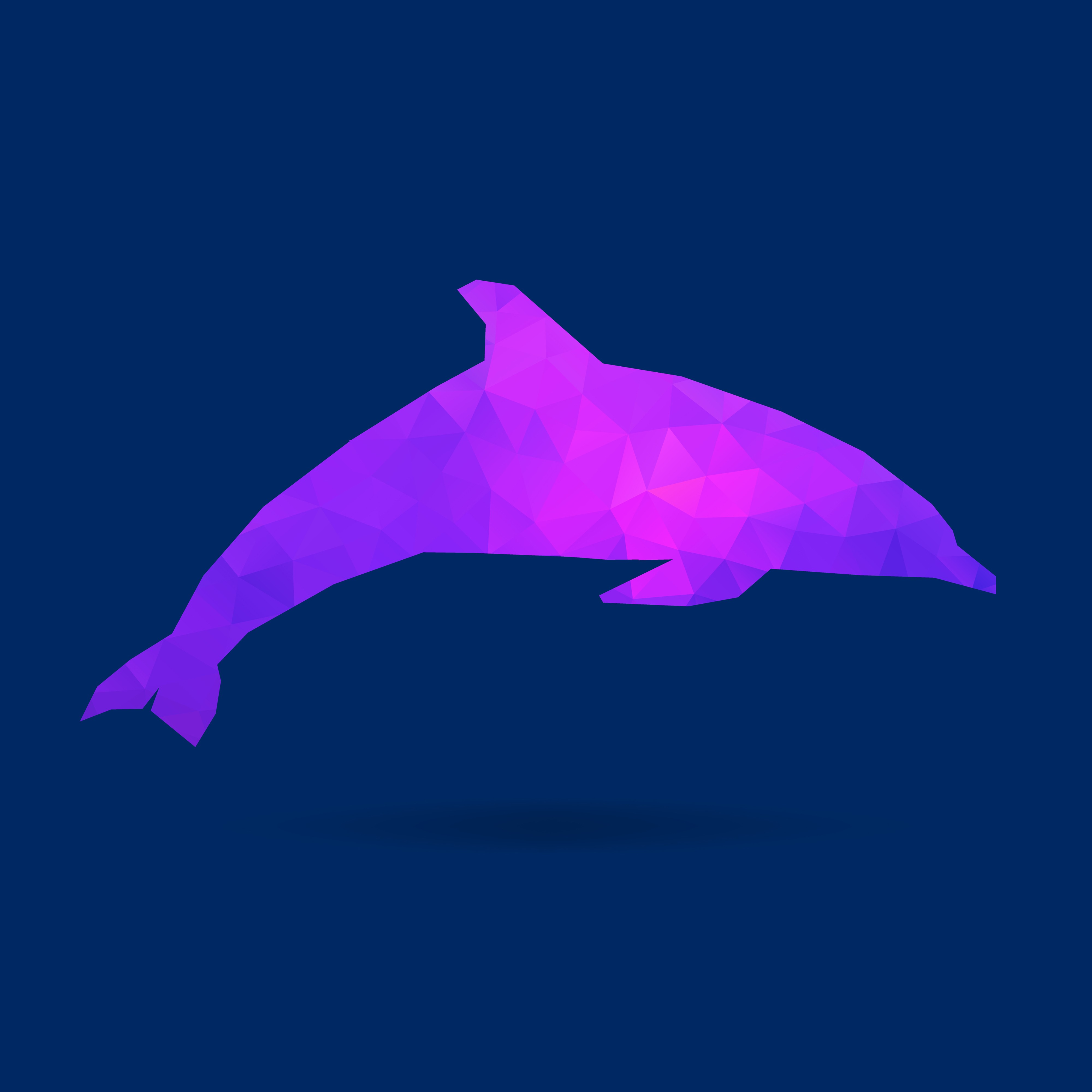 dolphin polygon silhouette.jpg