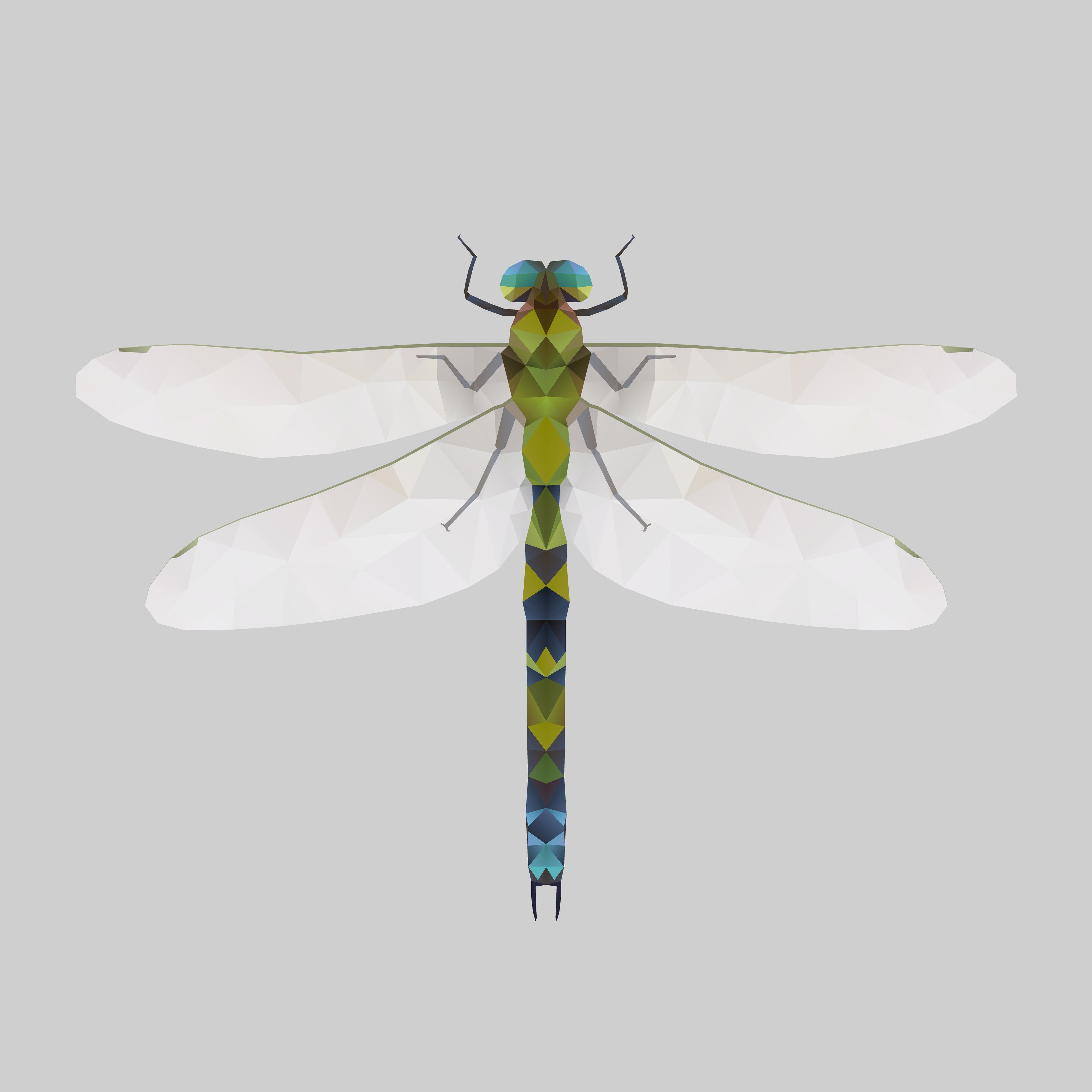 Dragonfly.jpg
