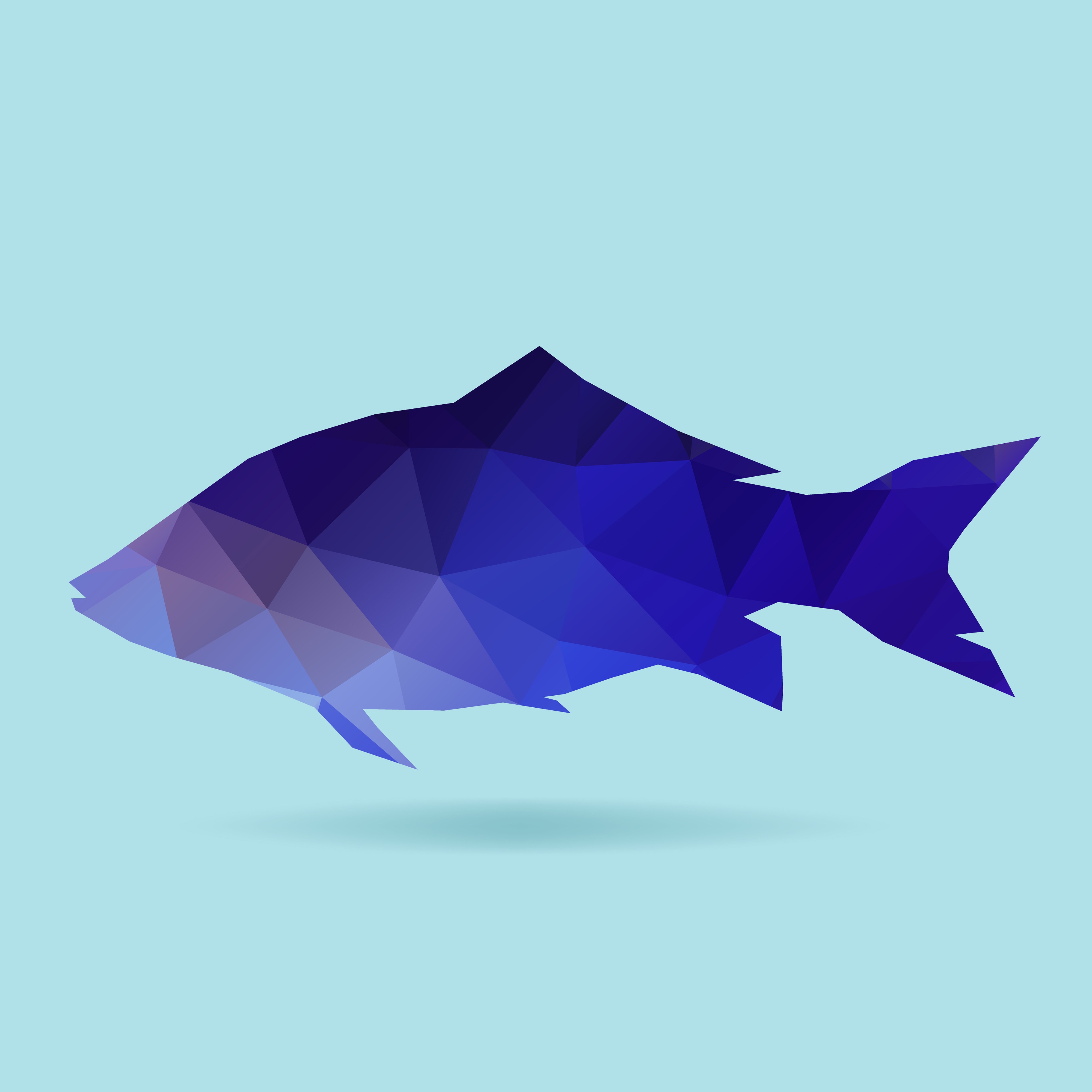 fish polygon silhouette.jpg