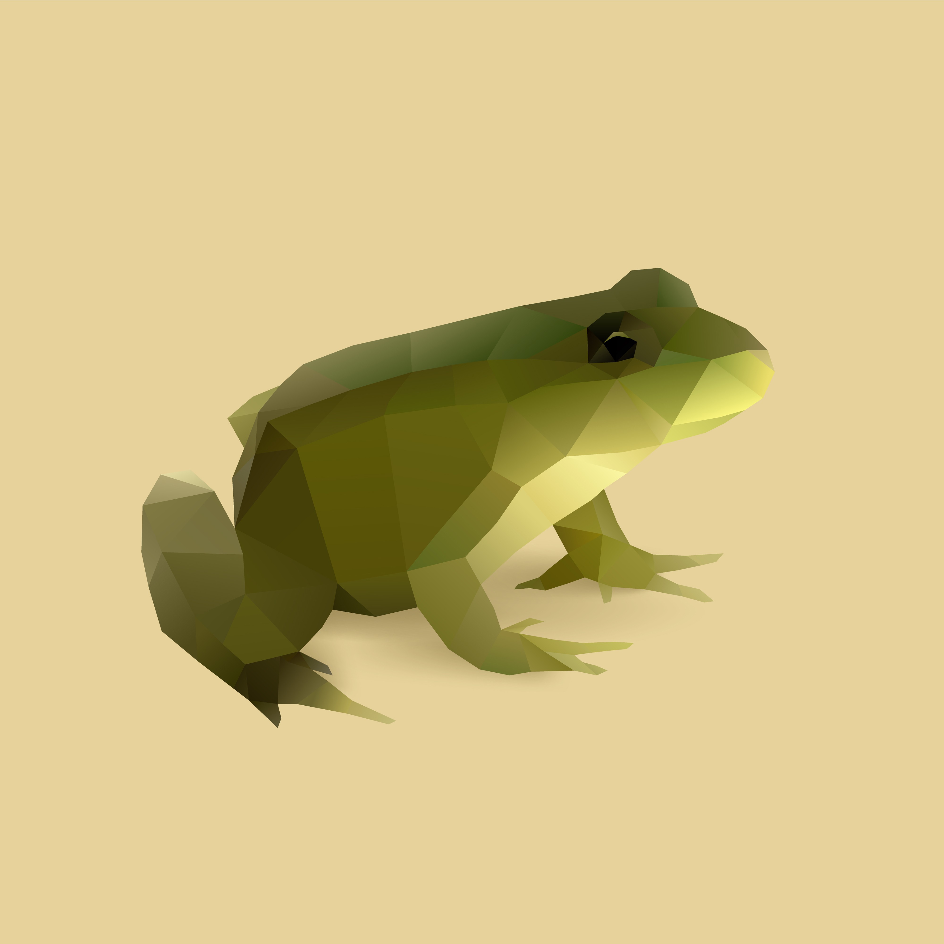frog.jpg