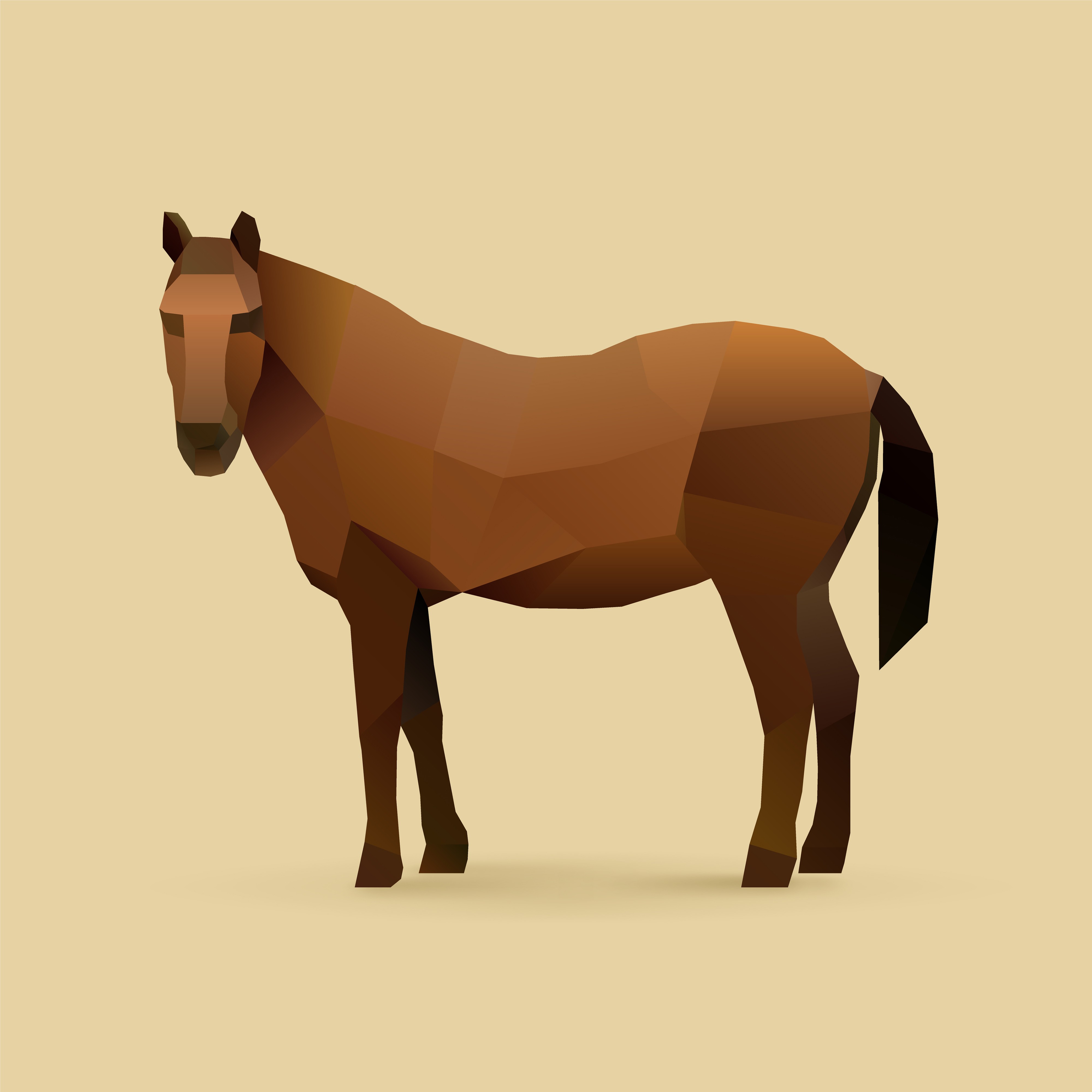 horse.jpg