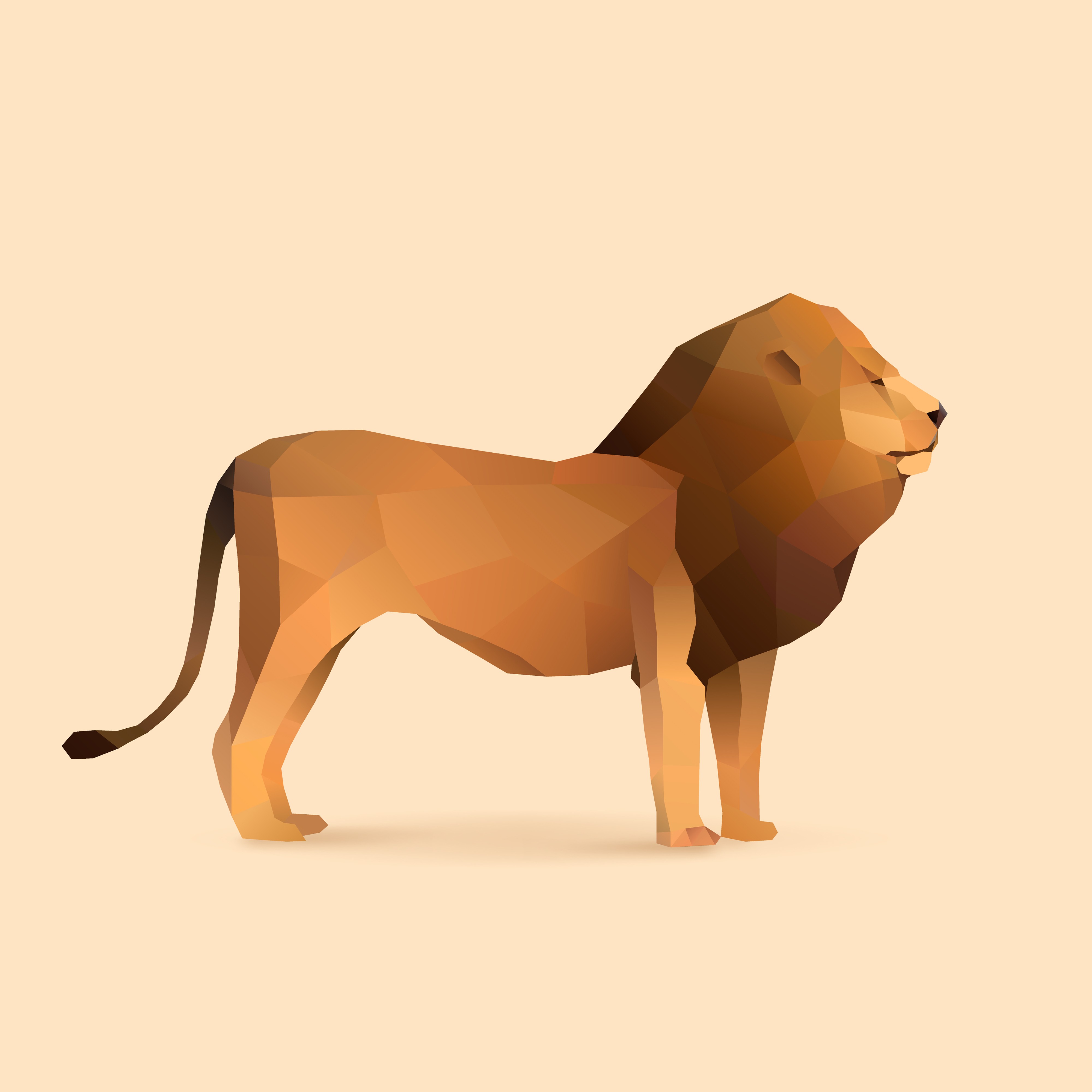lion.jpg