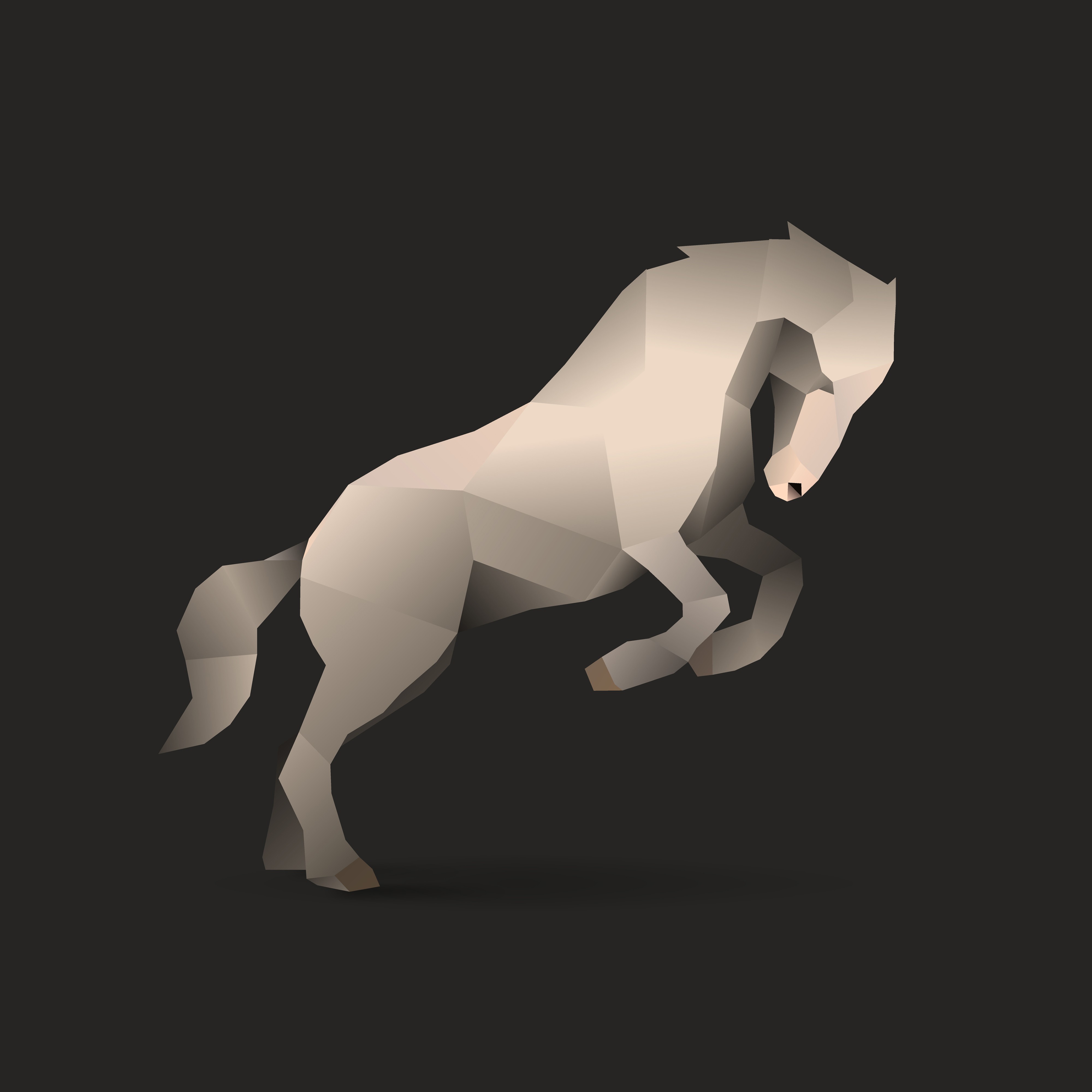 white horse.jpg