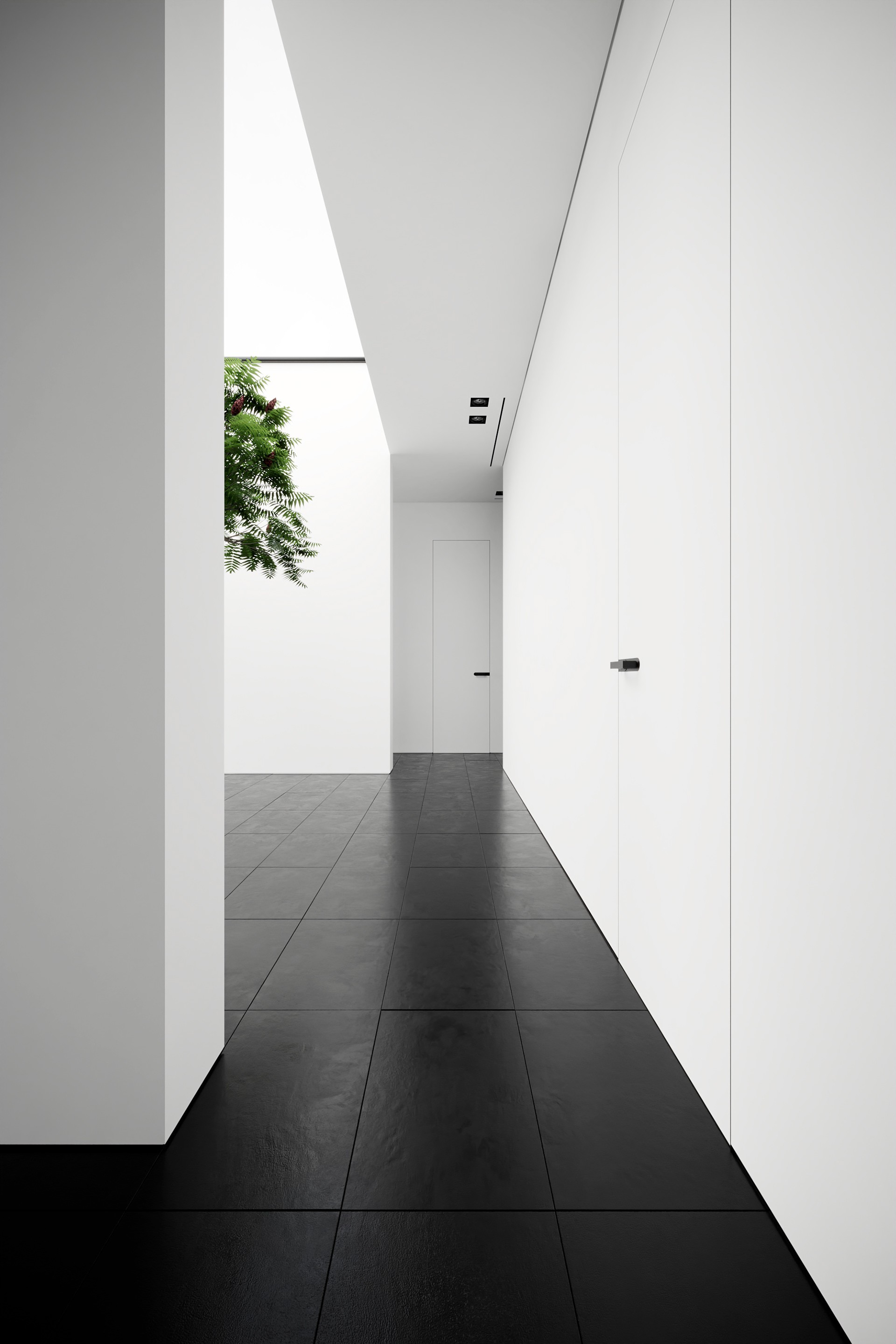 tz (38).jpg