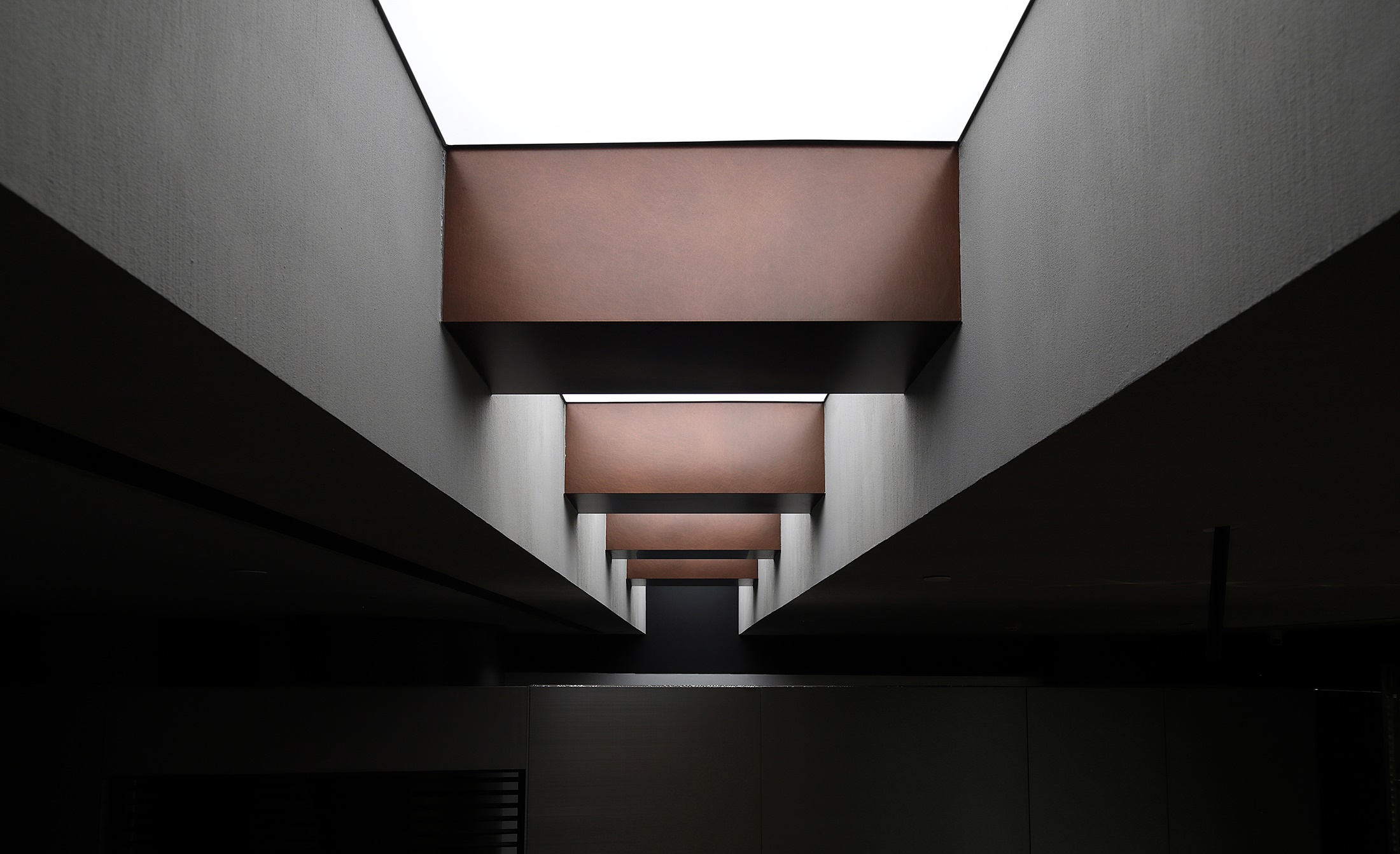 tz (11).JPG