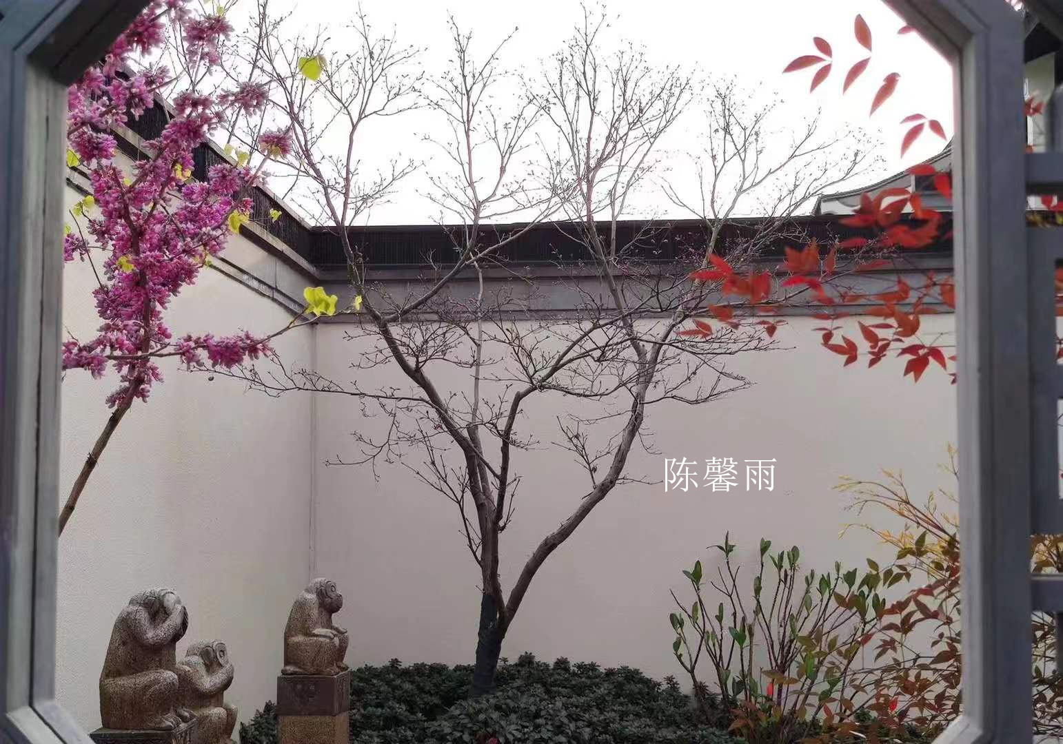 ��ܰ��  15385150166  (6).jpg