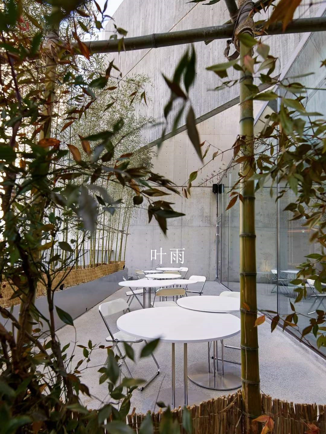 Ҷ��18156076132  (4).jpg